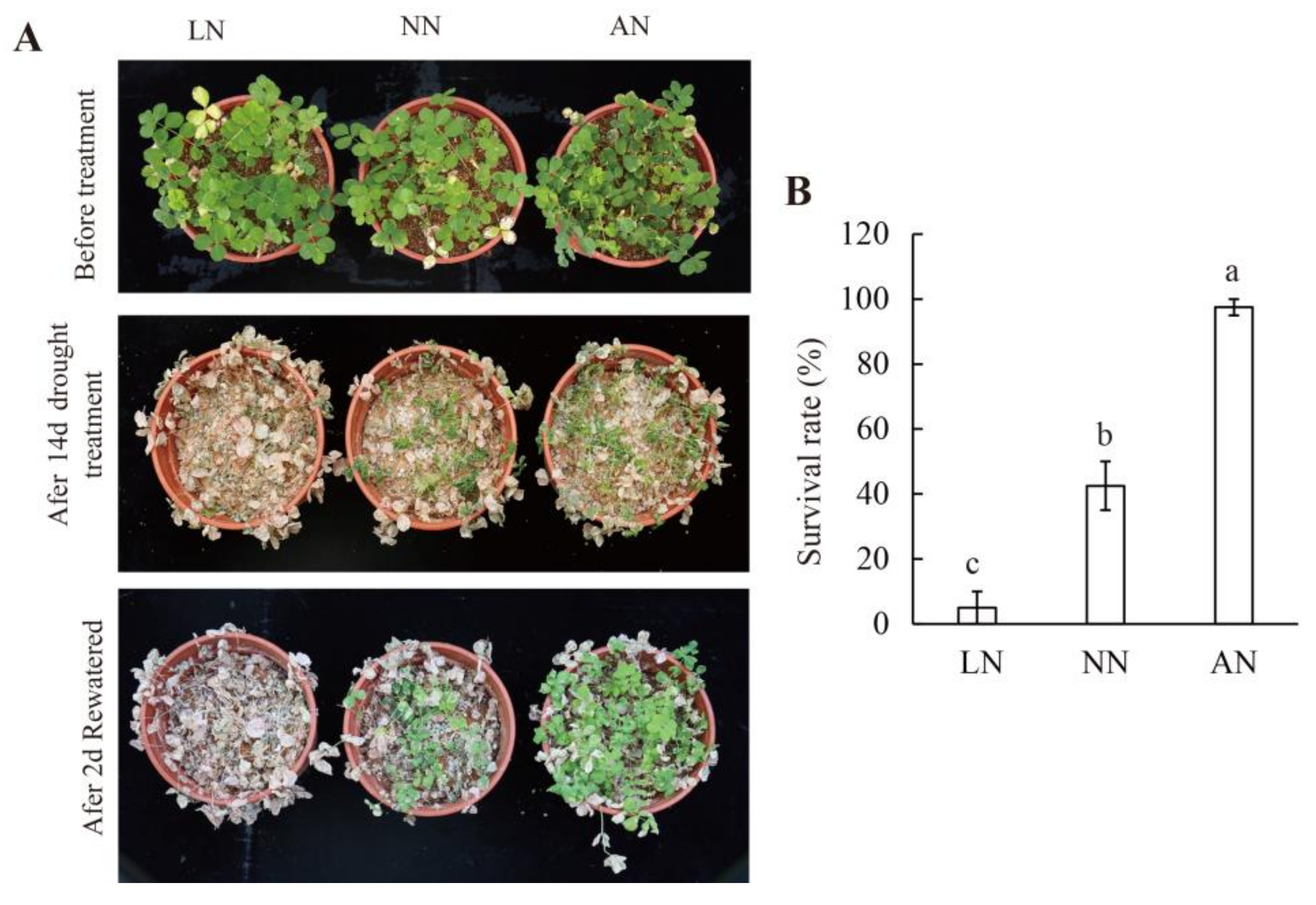 Agronomy 12 00725 g003
