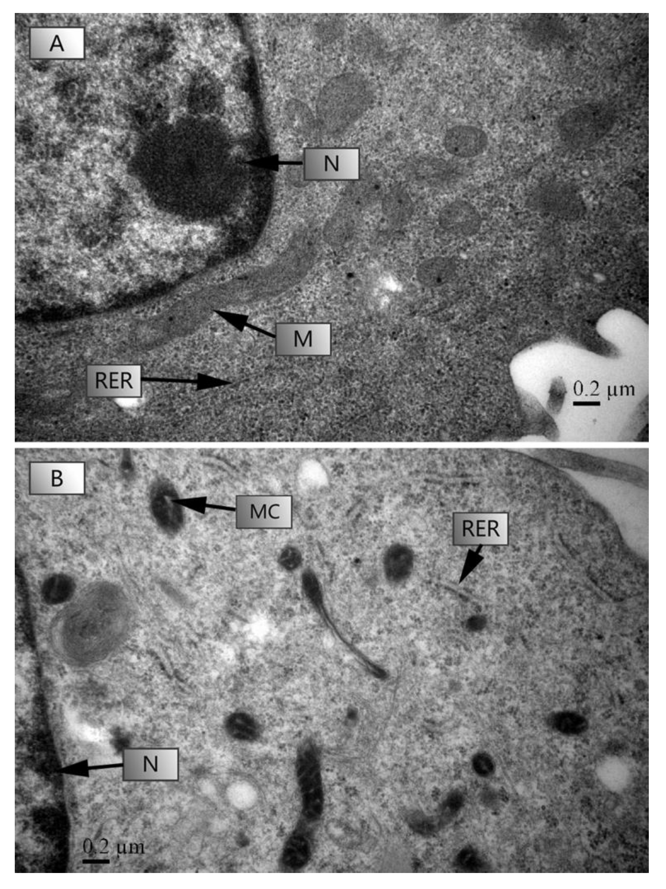 Agronomy 12 00730 g005