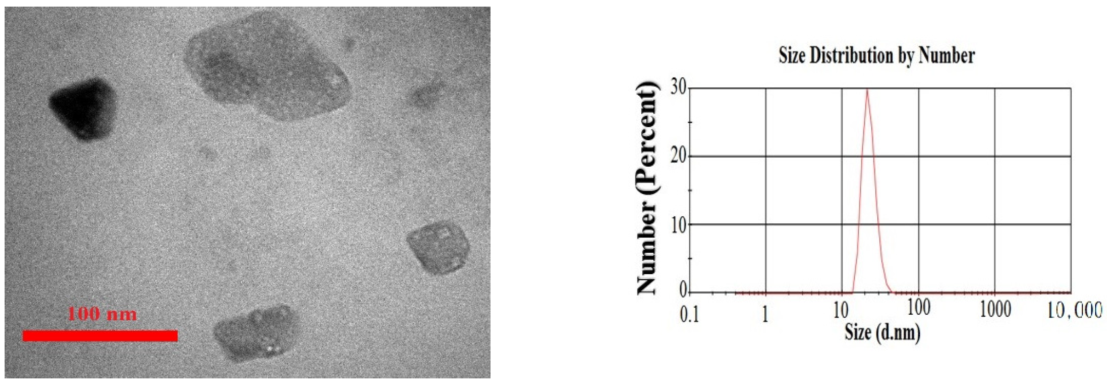 Agronomy 12 00731 g001