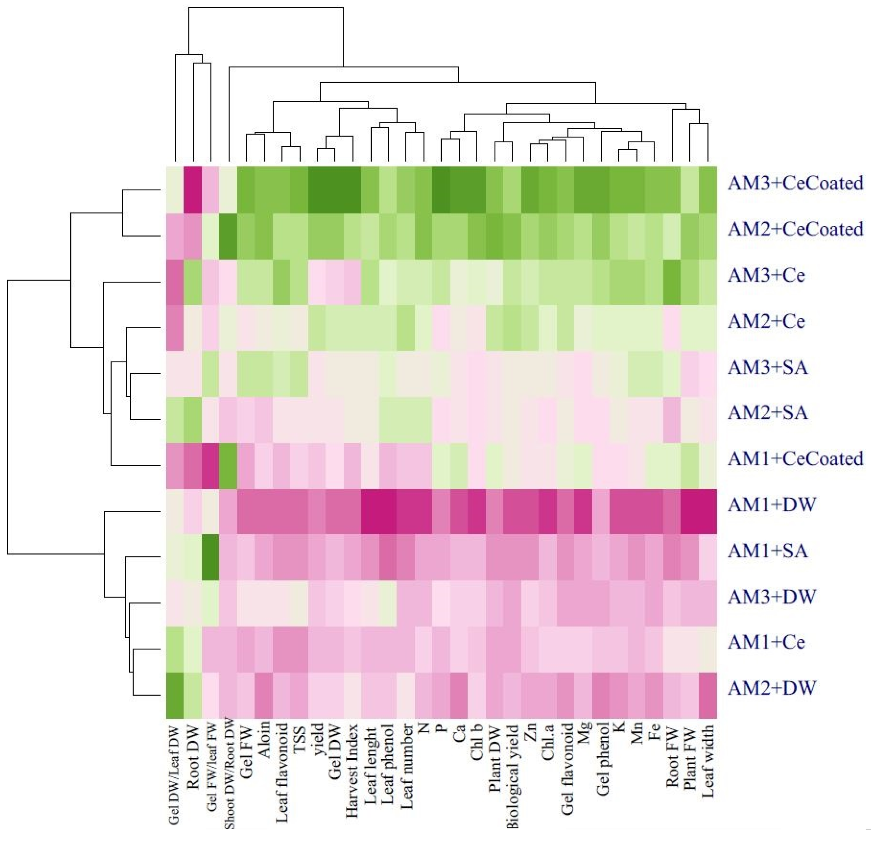 Agronomy 12 00731 g008