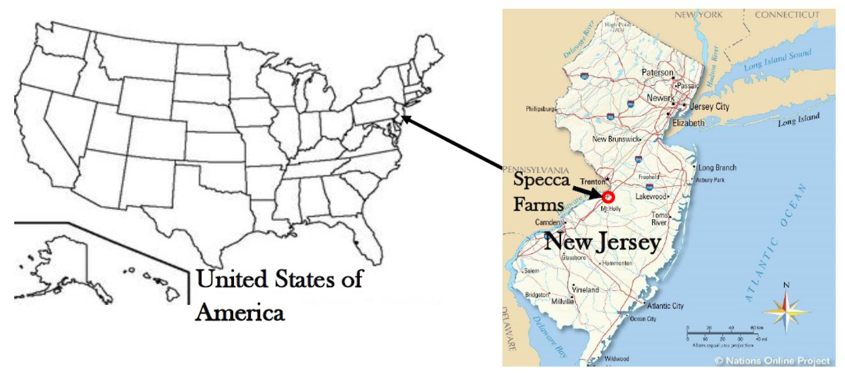 Agronomy 12 00751 g001