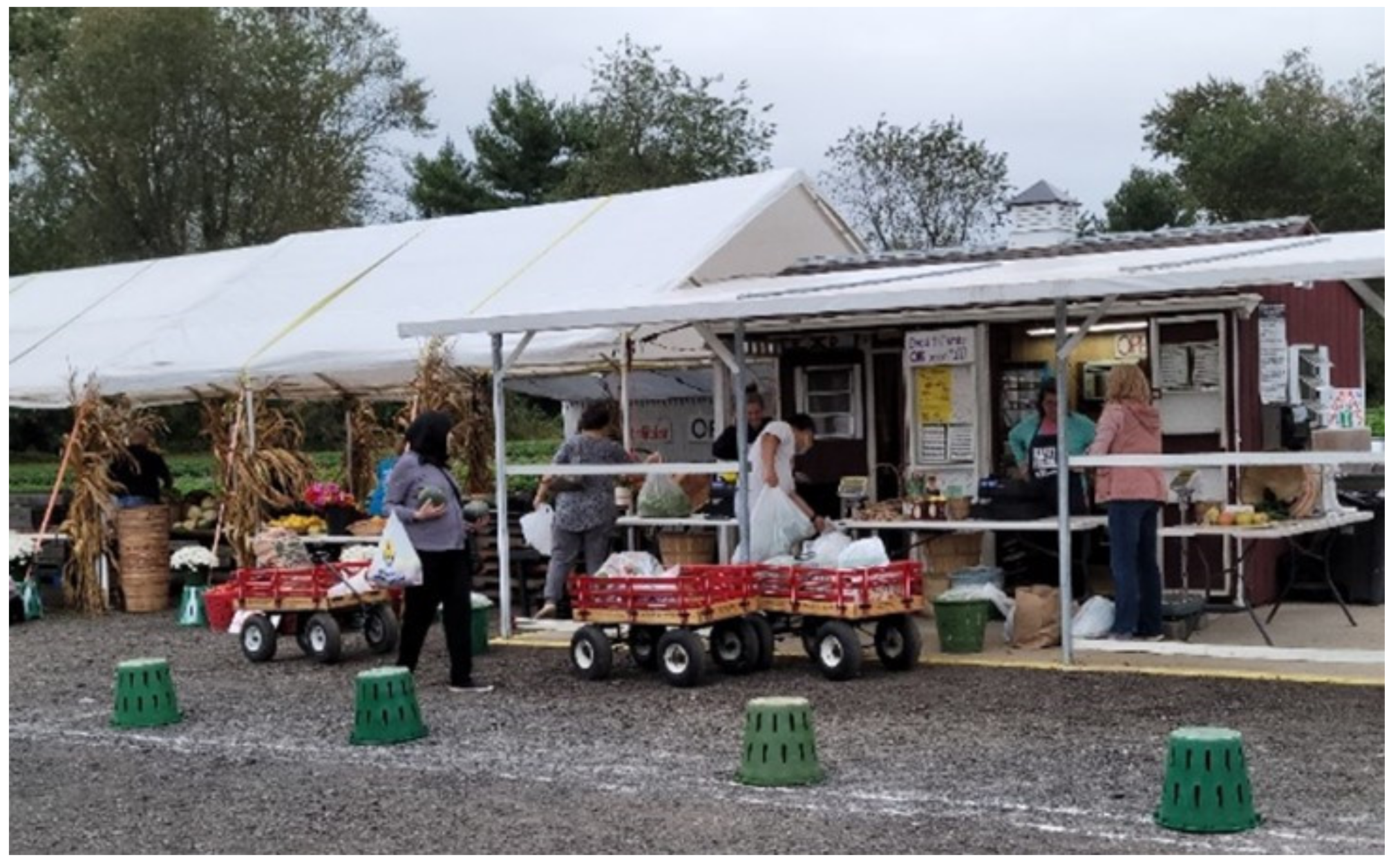 Agronomy 12 00751 g005