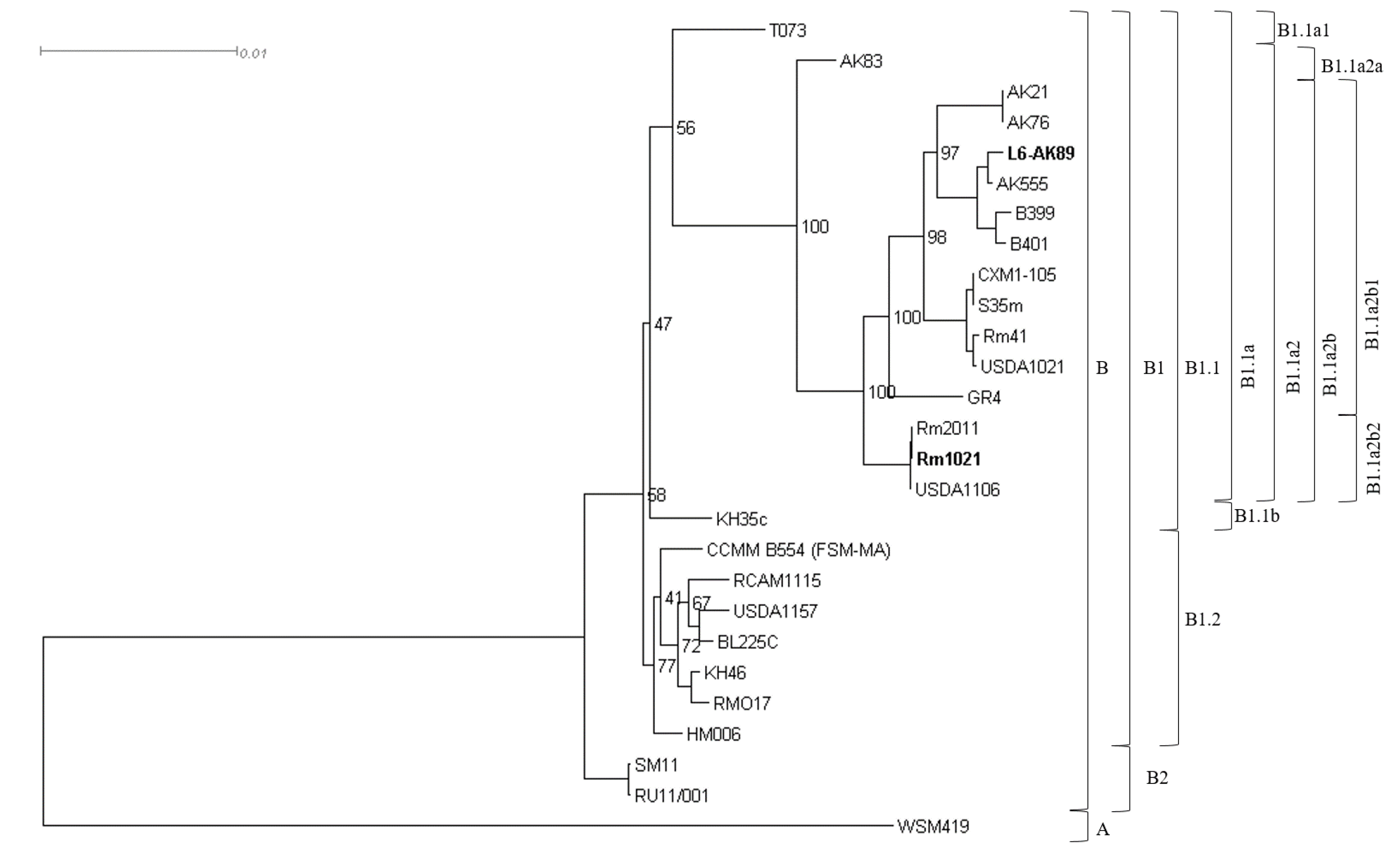 Agronomy 12 00766 g007 Agronomy 12 00766 g007