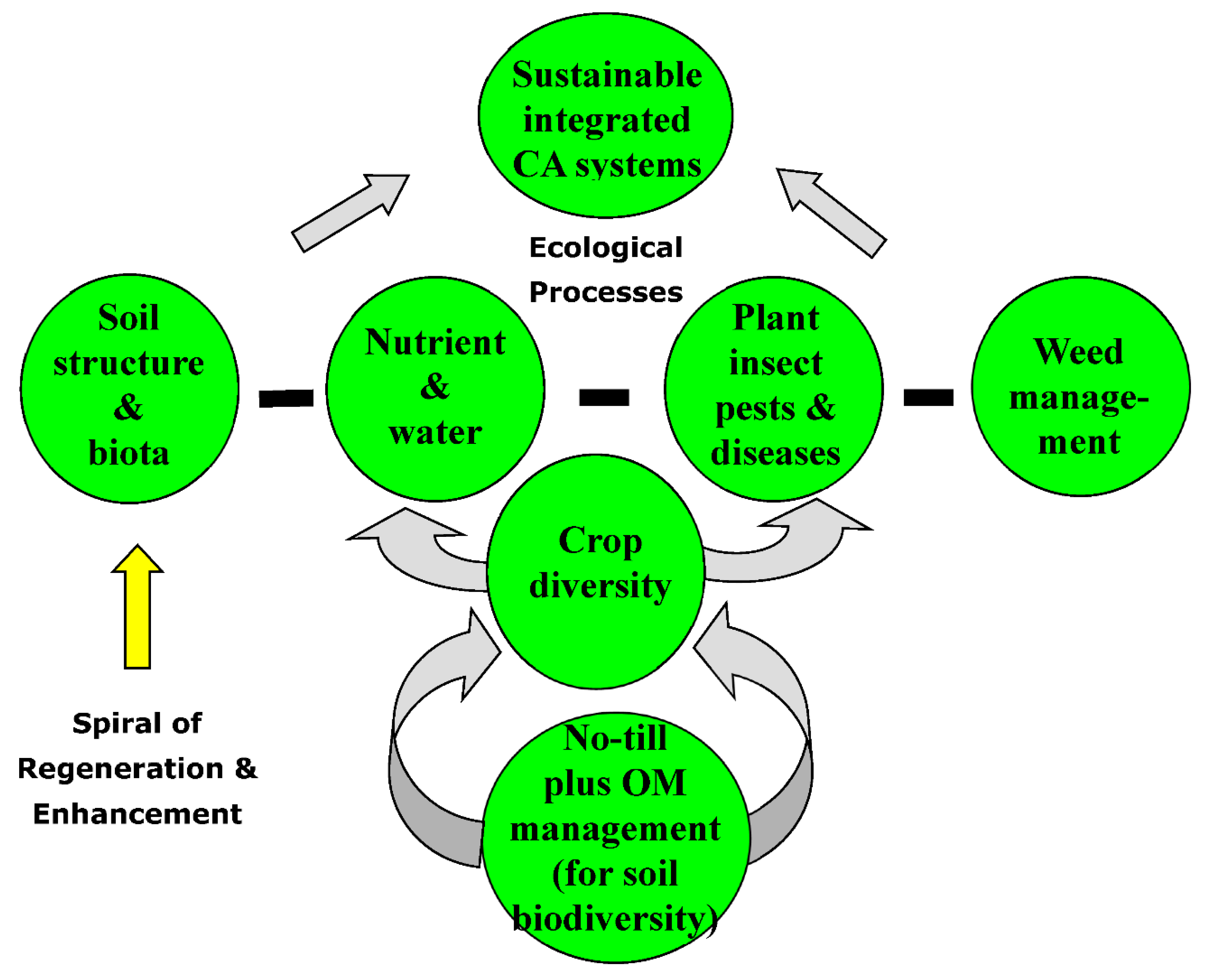 Agronomy 12 00769 g003