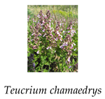 Agronomy 12 00772 i004