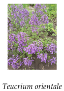 Agronomy 12 00772 i006