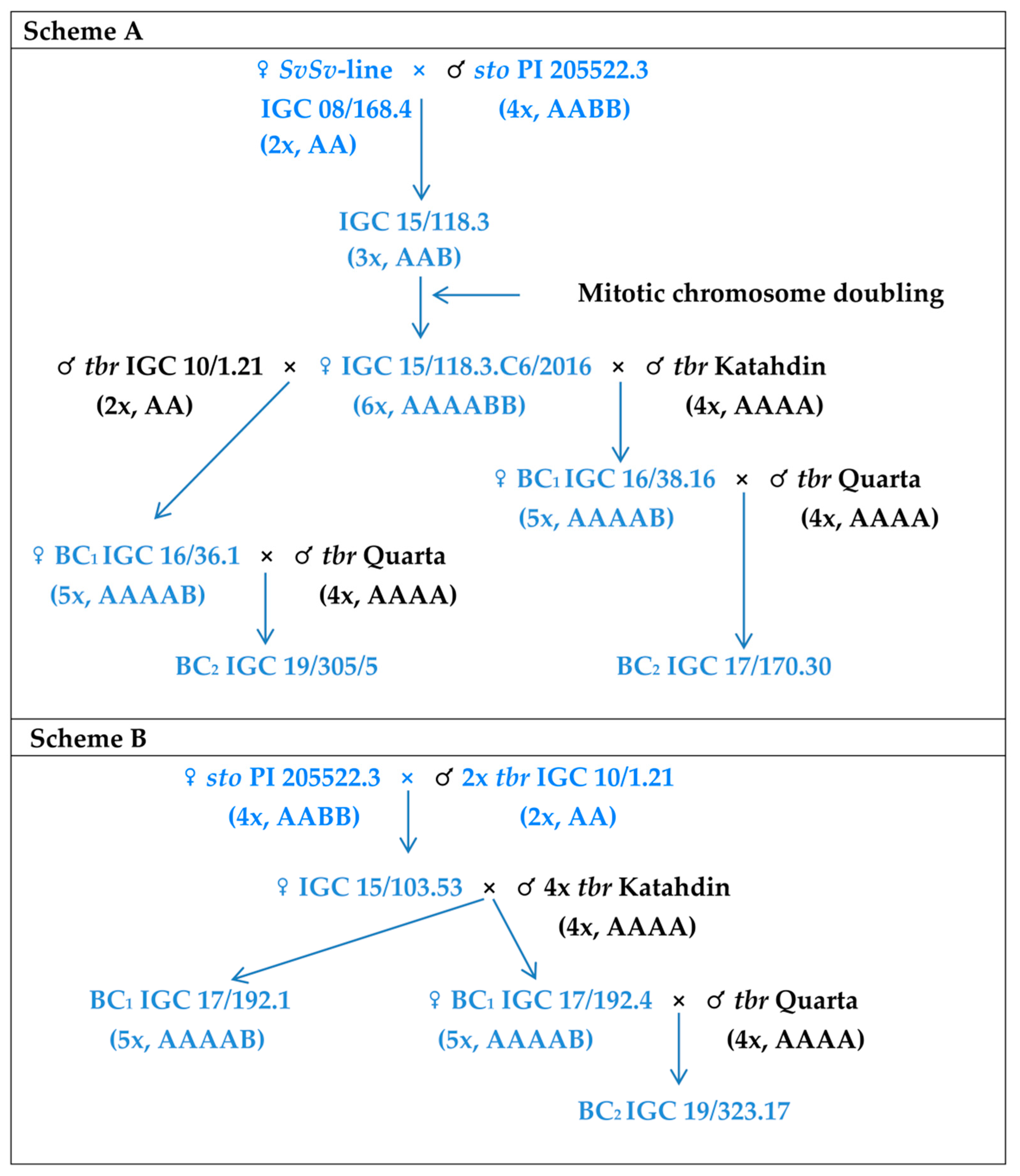 Agronomy 12 00787 g001 Agronomy 12 00787 g001
