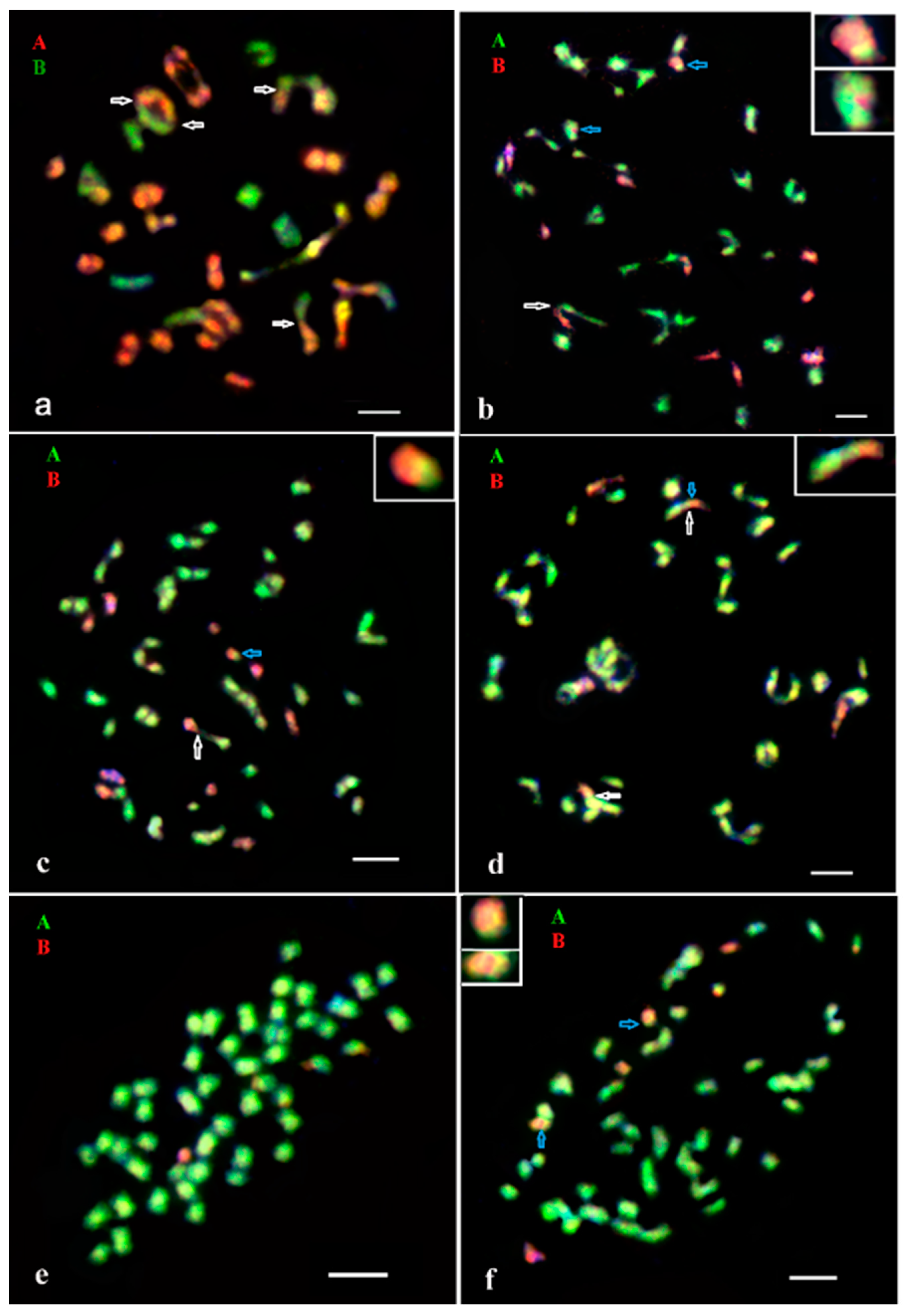 Agronomy 12 00787 g002 Agronomy 12 00787 g002