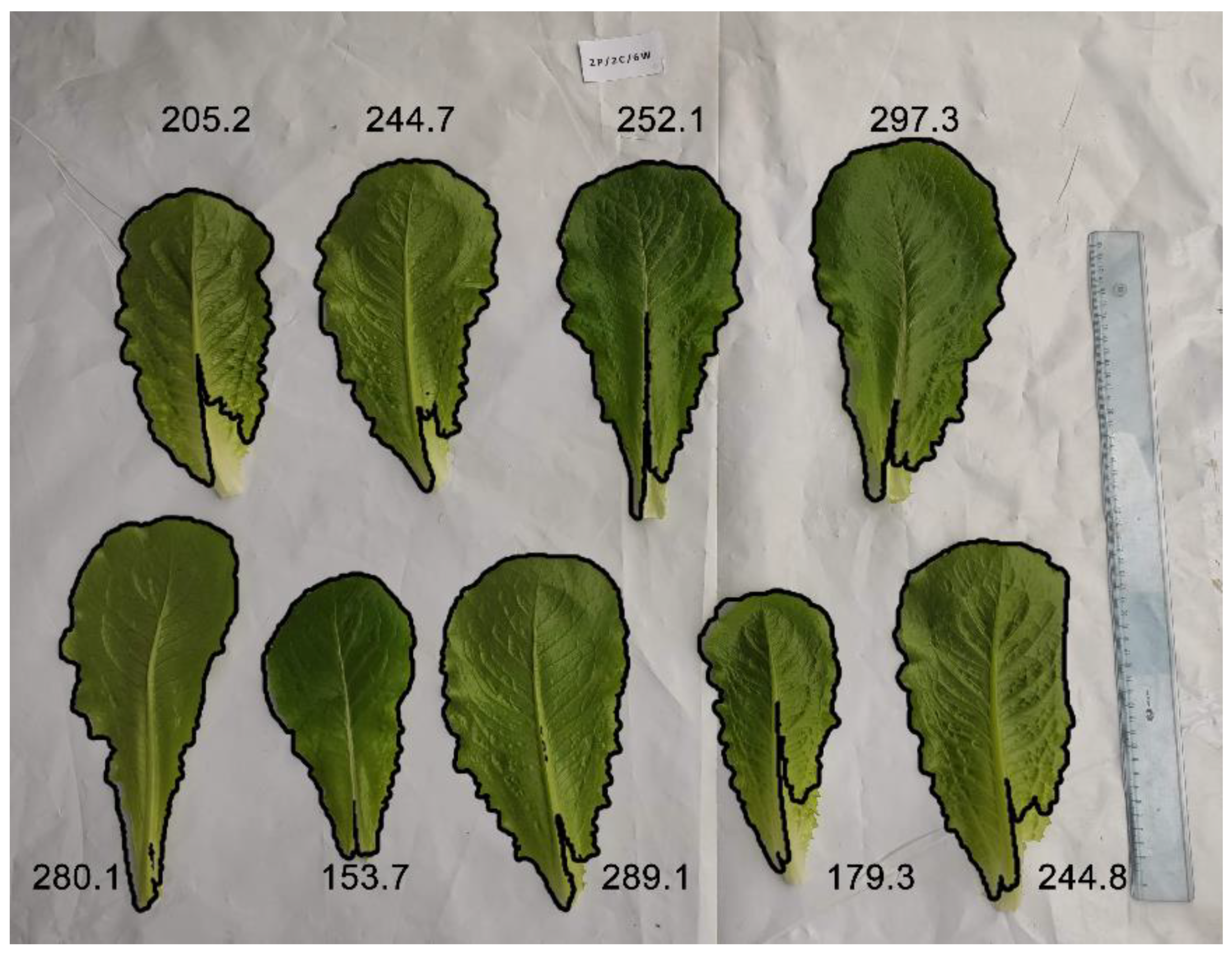 Agronomy 12 00789 g003