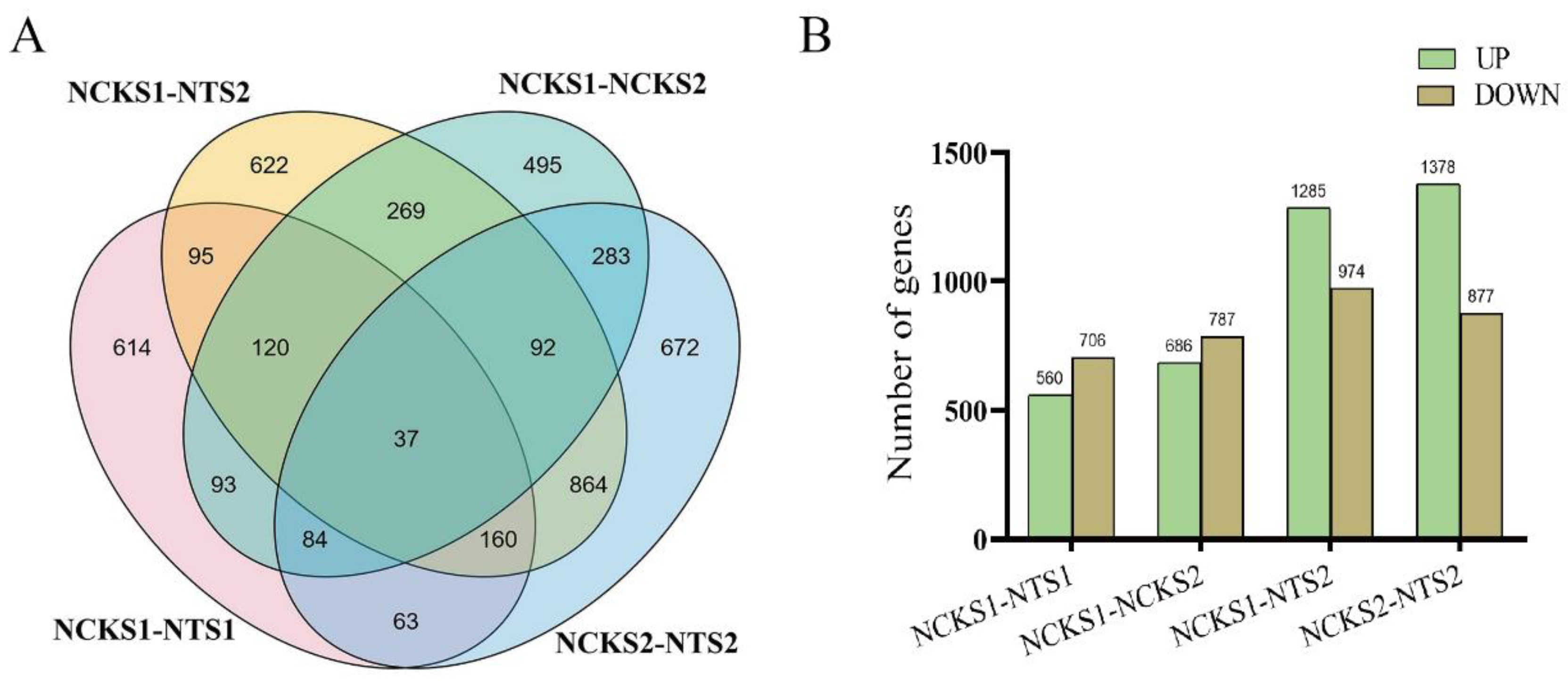 Agronomy 12 00794 g005
