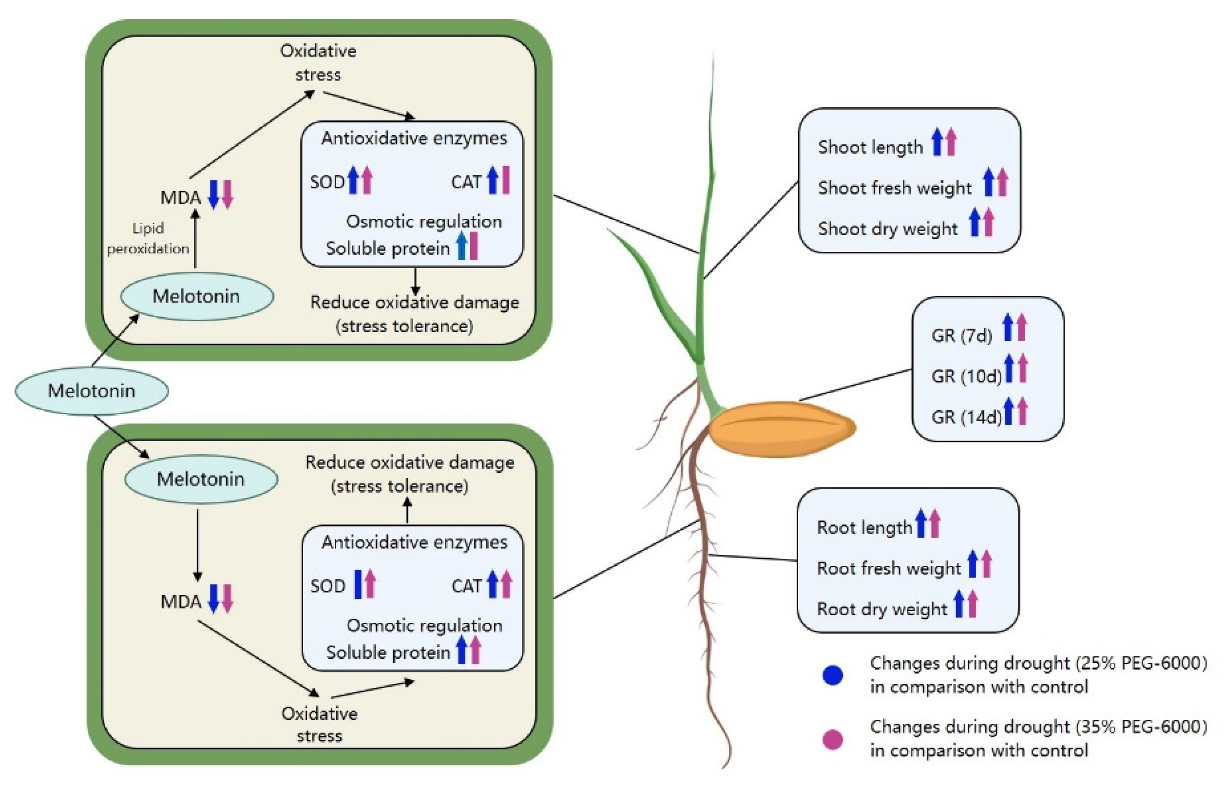 Agronomy 12 00813 g010