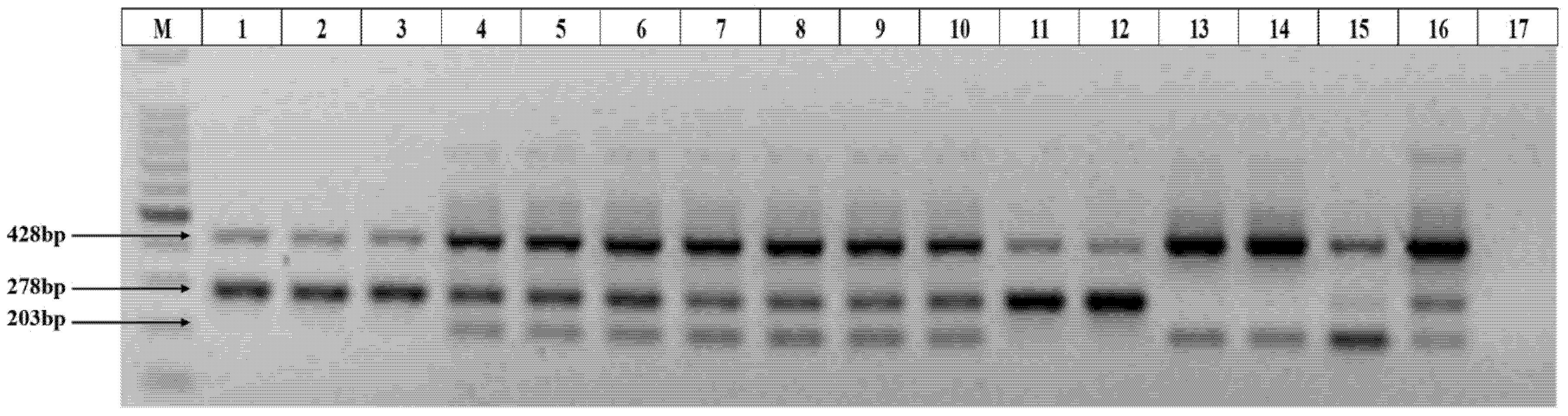 Agronomy 12 00819 g001