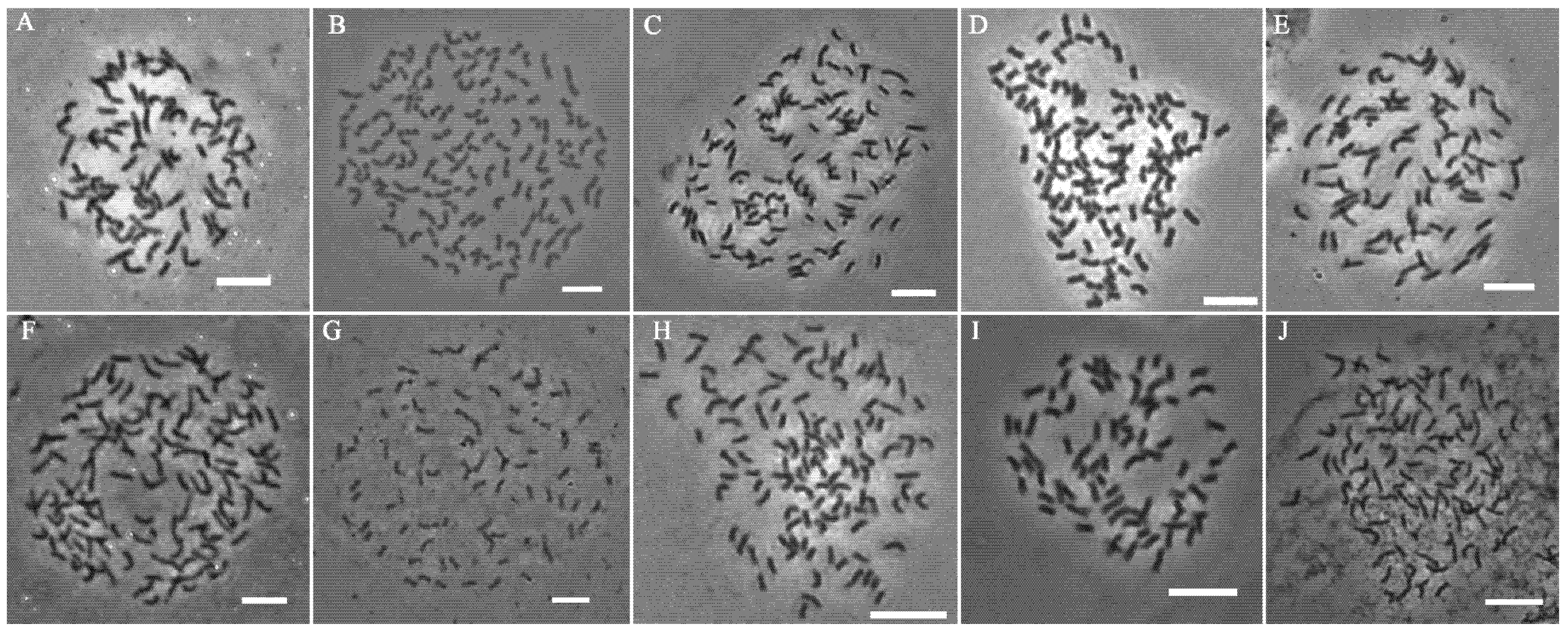 Agronomy 12 00819 g002