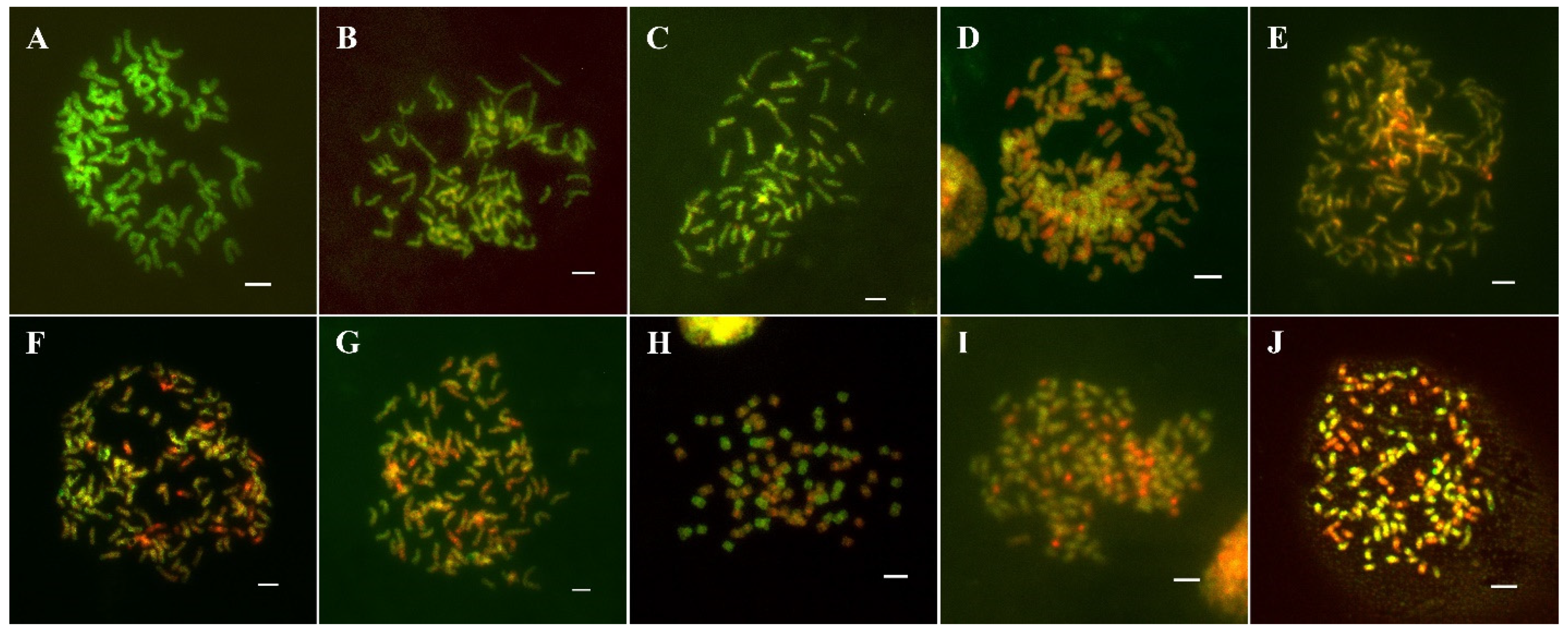 Agronomy 12 00819 g003