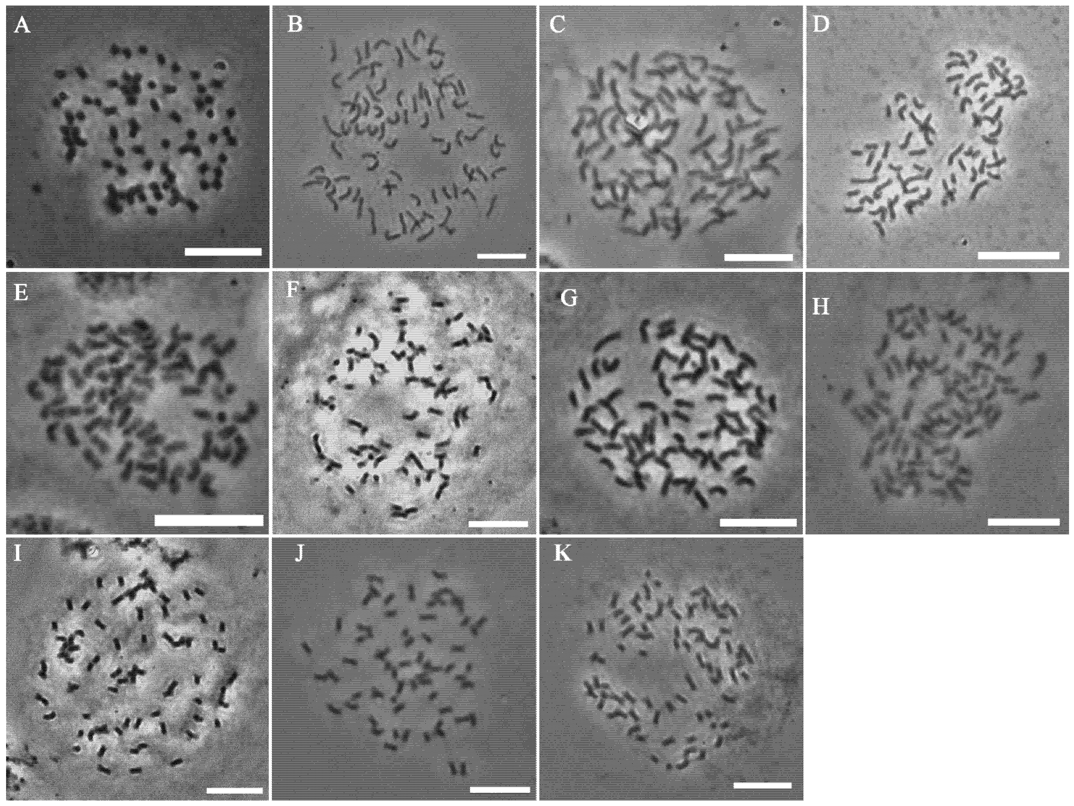Agronomy 12 00819 g005