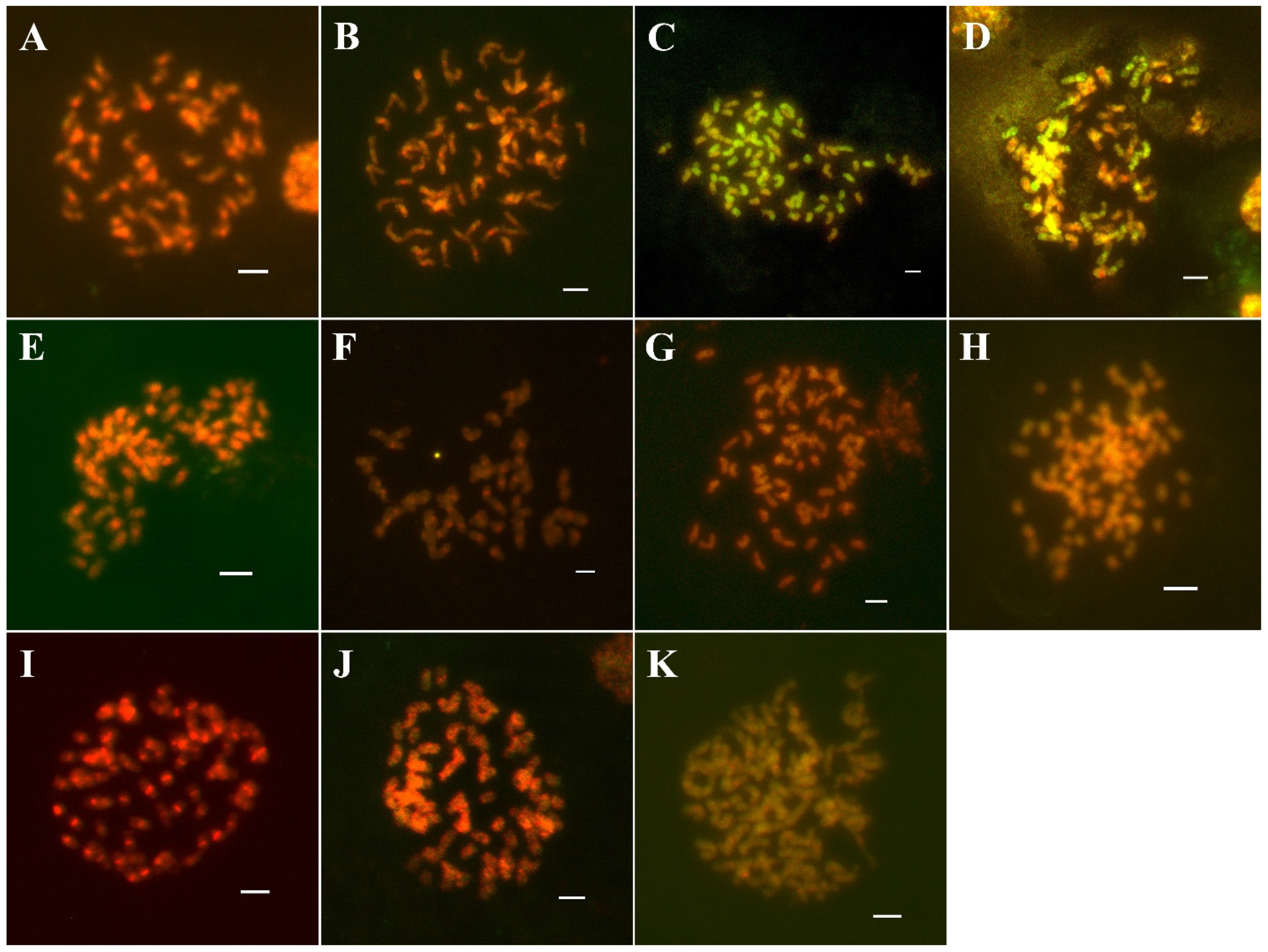 Agronomy 12 00819 g006