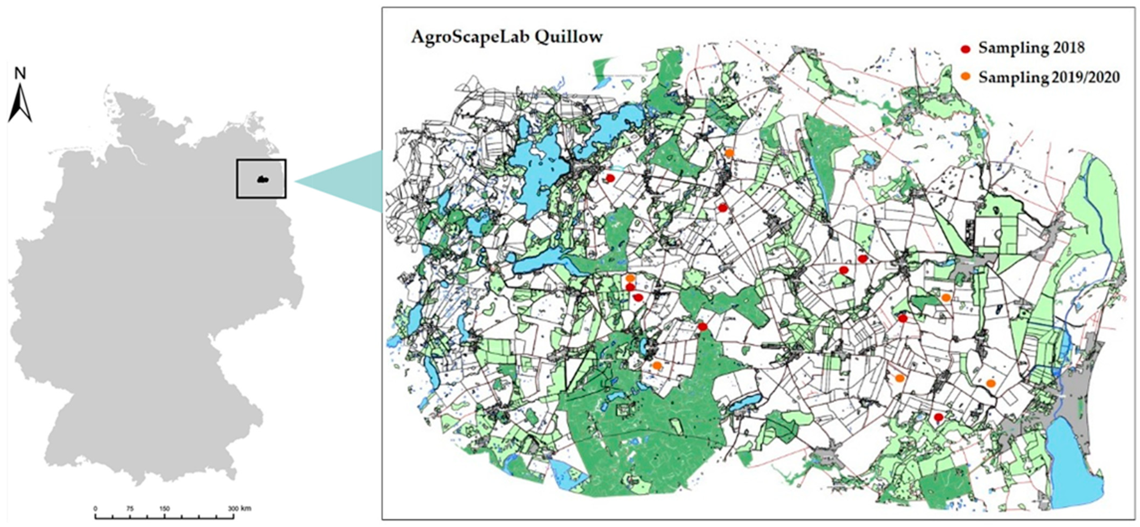 Agronomy 12 00823 g001 Agronomy 12 00823 g001