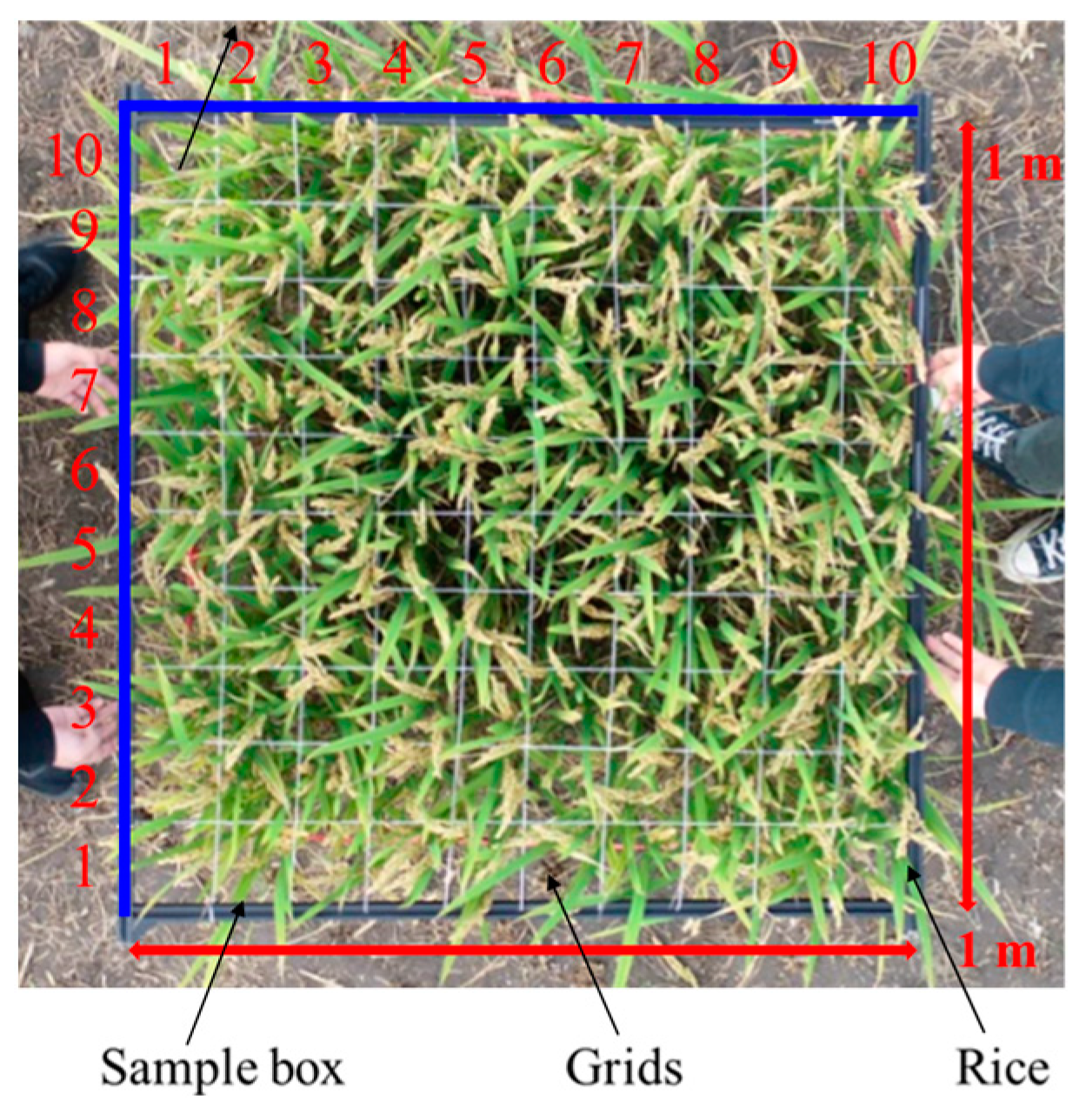 Agronomy 12 00836 g003