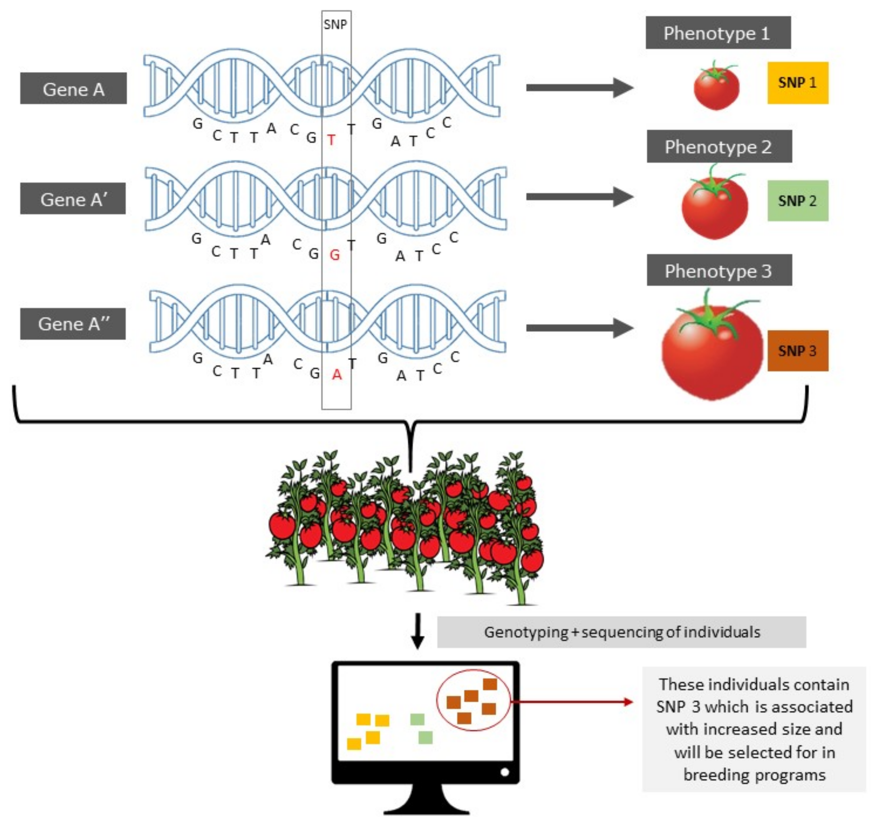 Agronomy 12 00838 g001