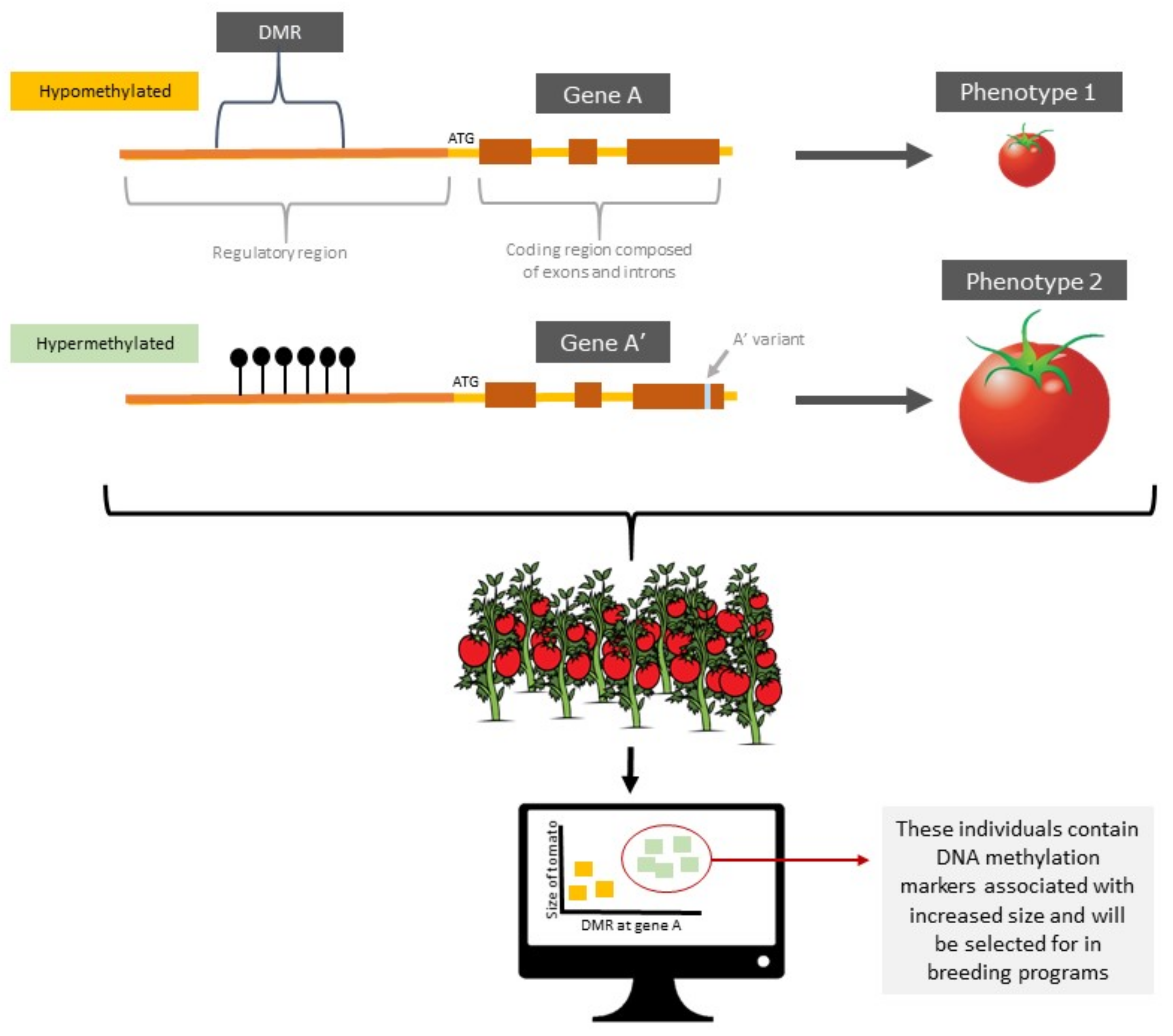 Agronomy 12 00838 g002