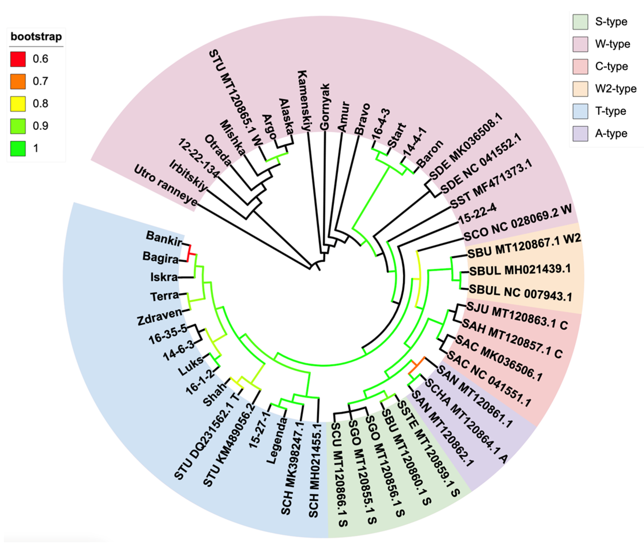 Agronomy 12 00846 g001
