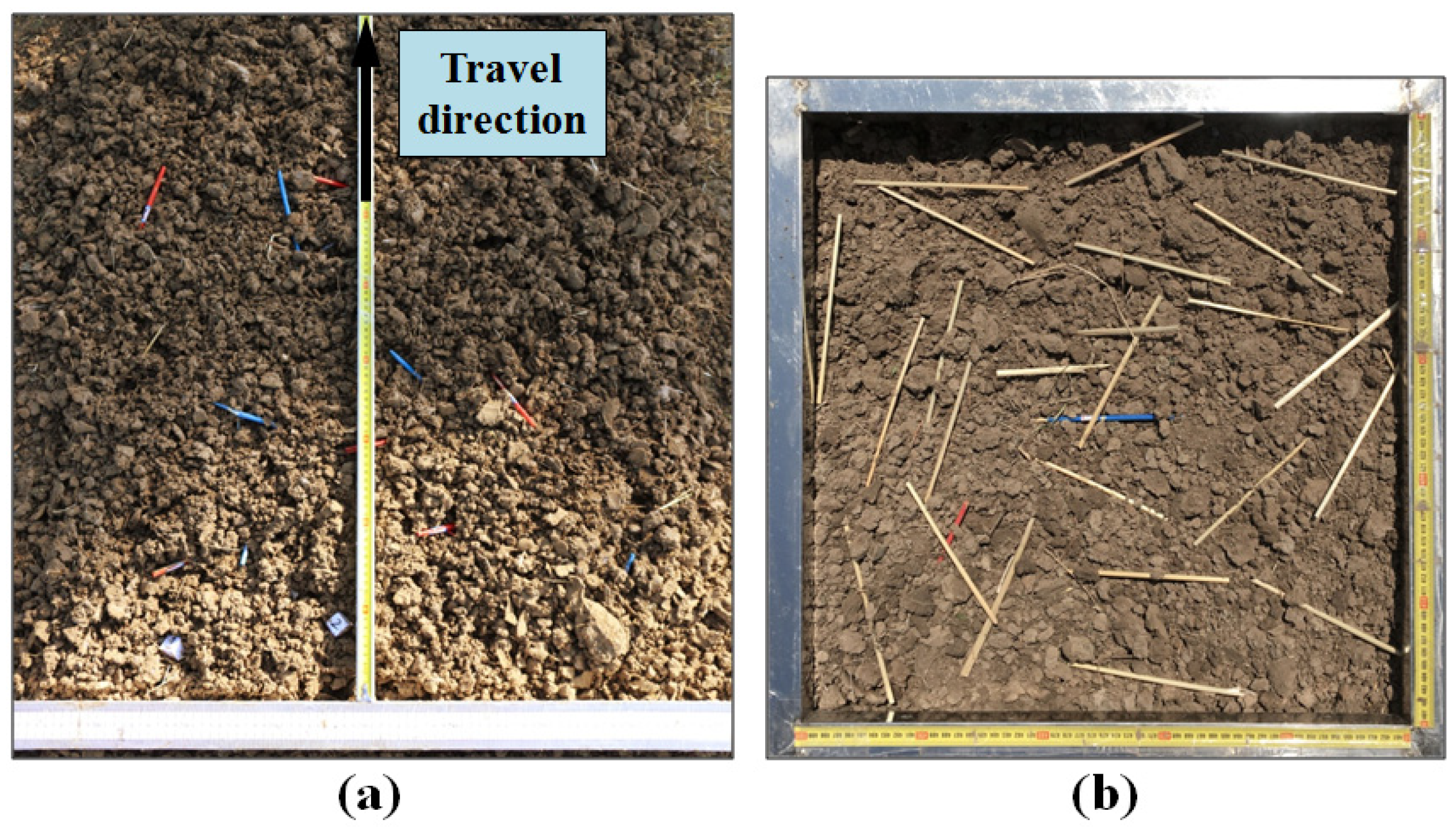 Agronomy 12 00847 g004