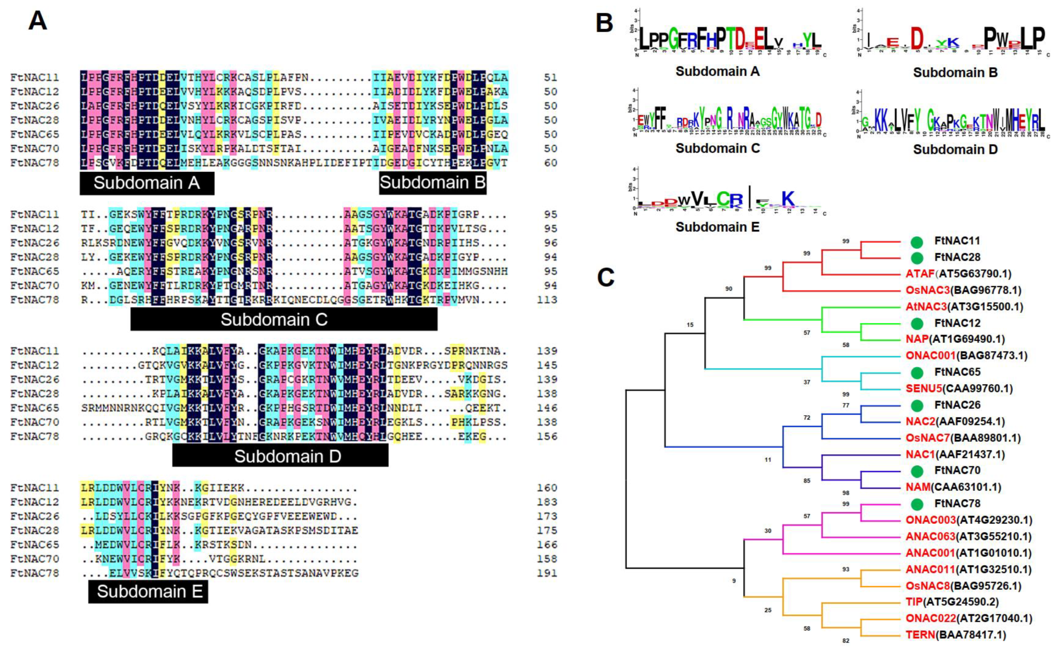 Agronomy 12 00849 g002