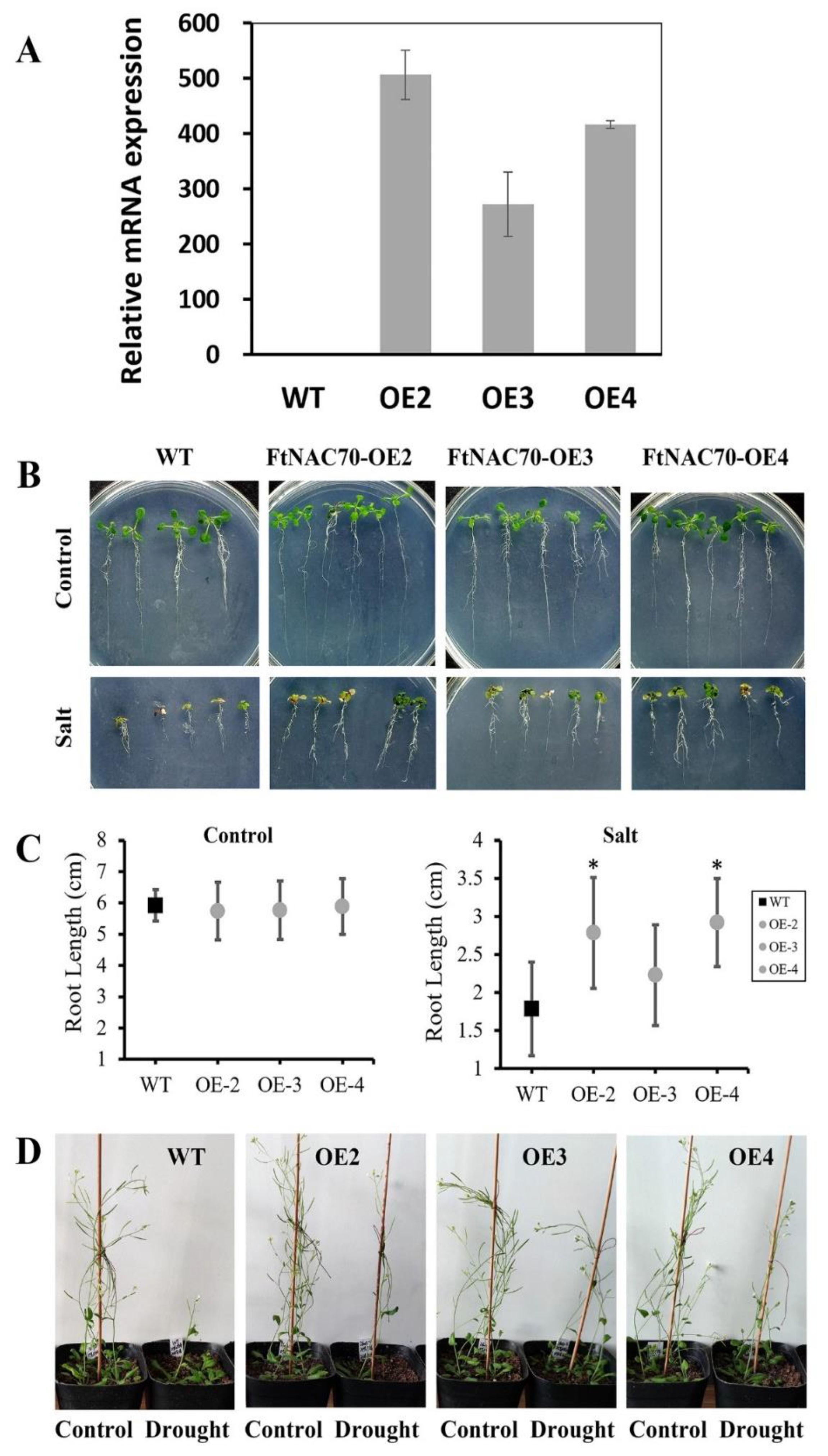 Agronomy 12 00849 g006