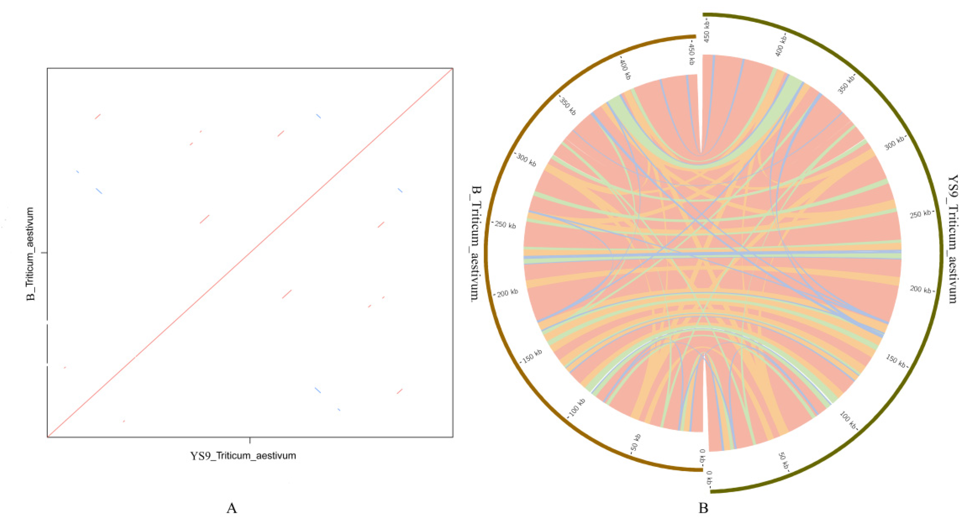 Agronomy 12 00851 g007