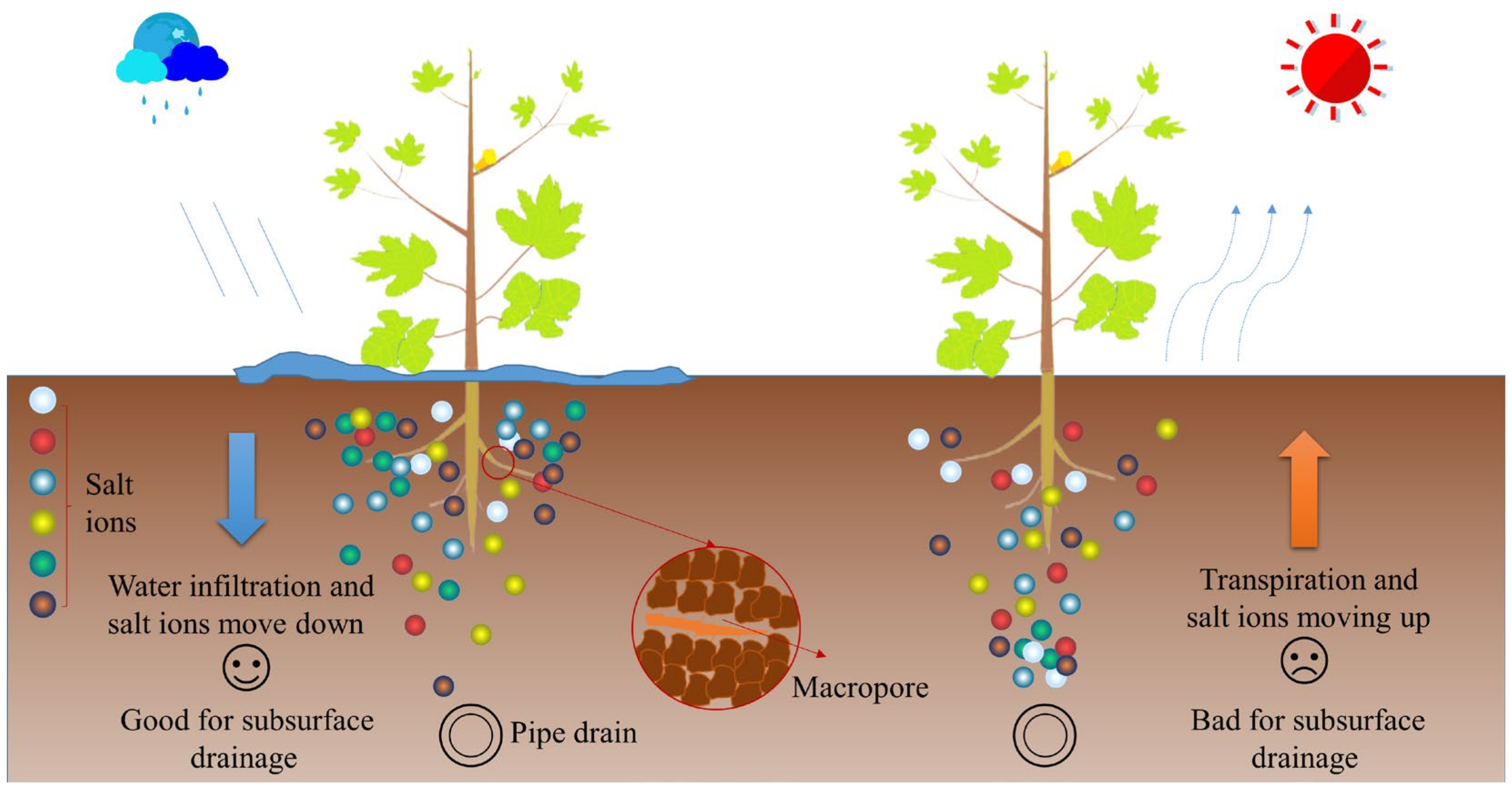 Agronomy 12 00866 g001