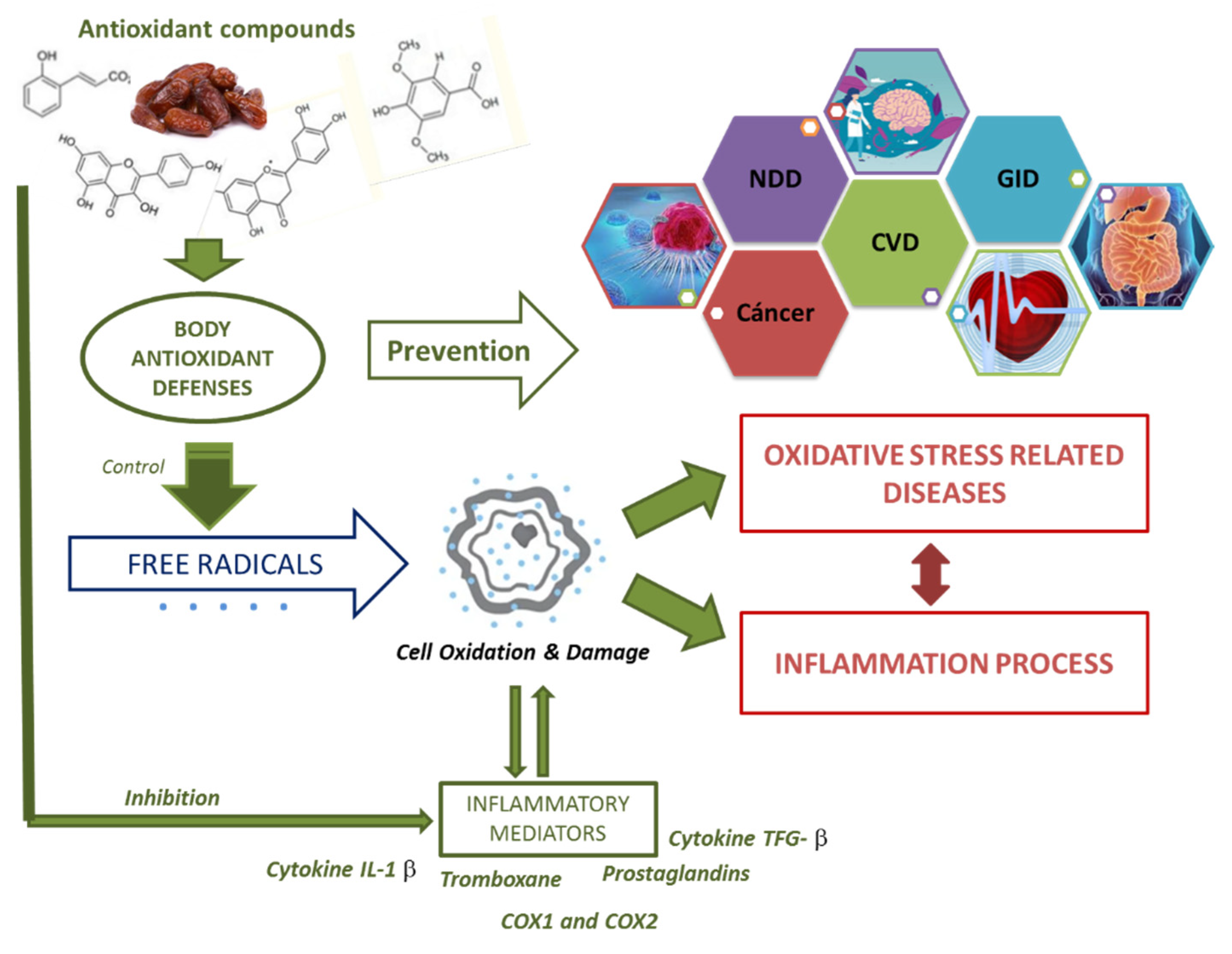 Agronomy 12 00876 g004