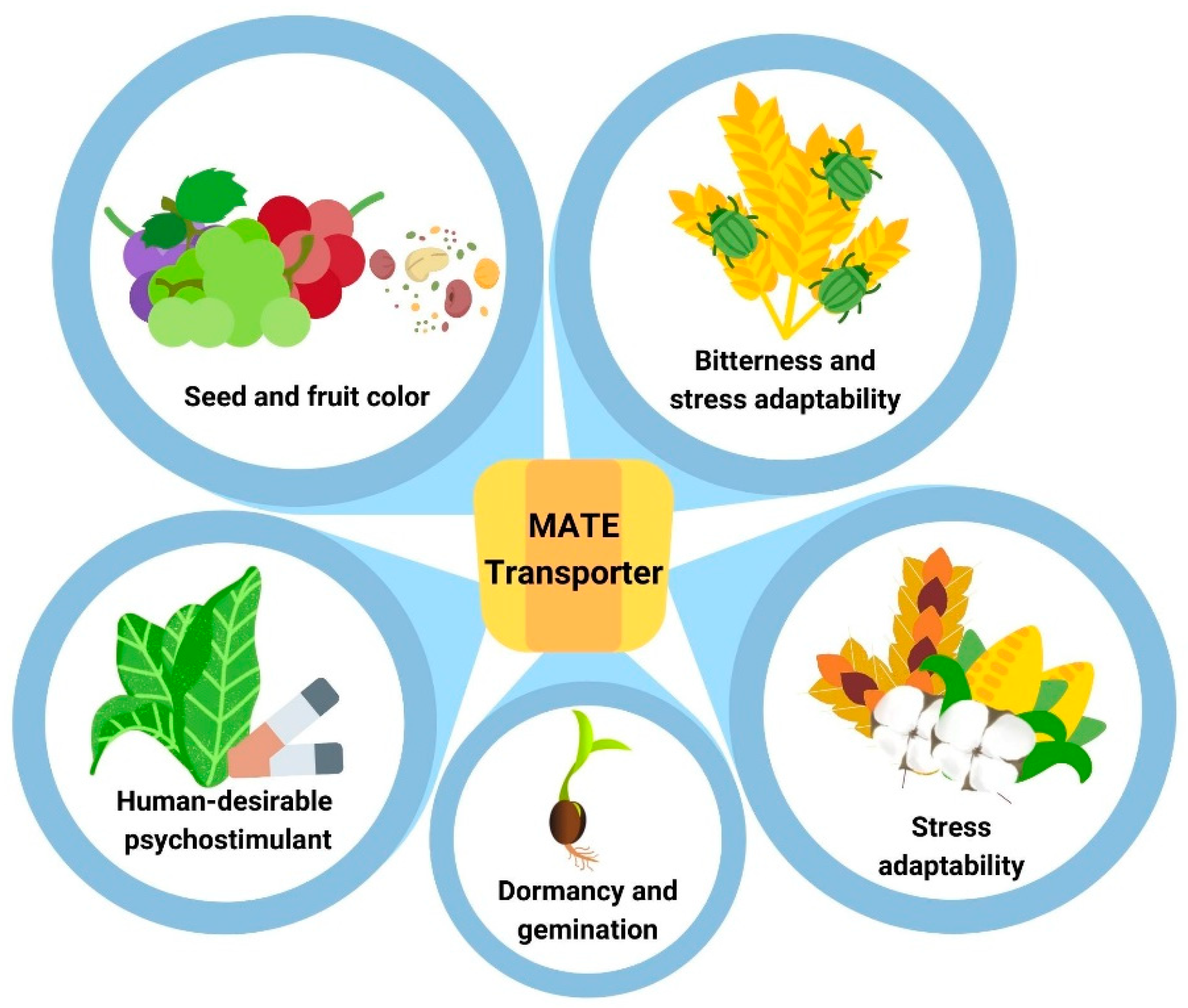Agronomy 12 00878 g001