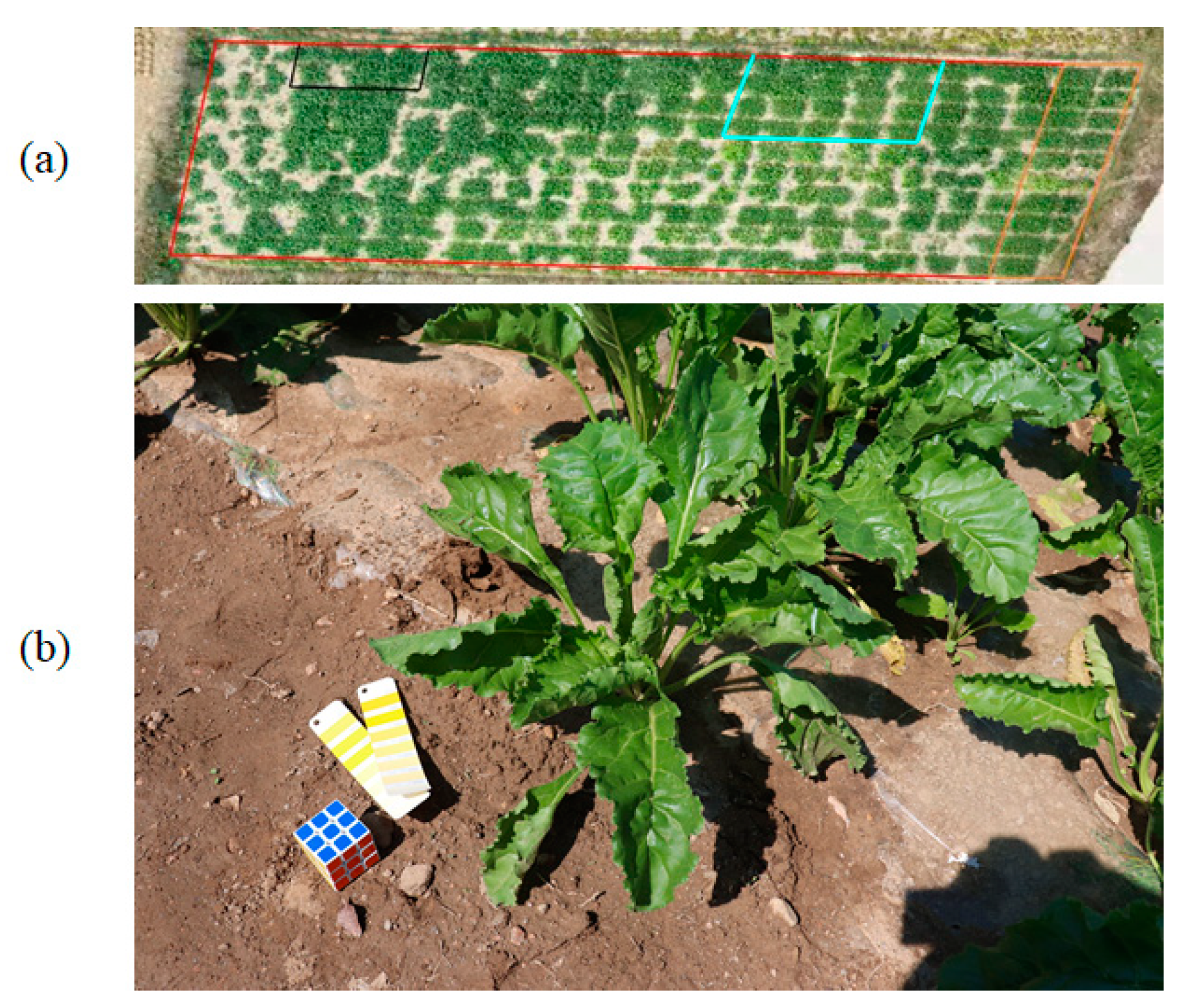 Agronomy 12 00893 g001