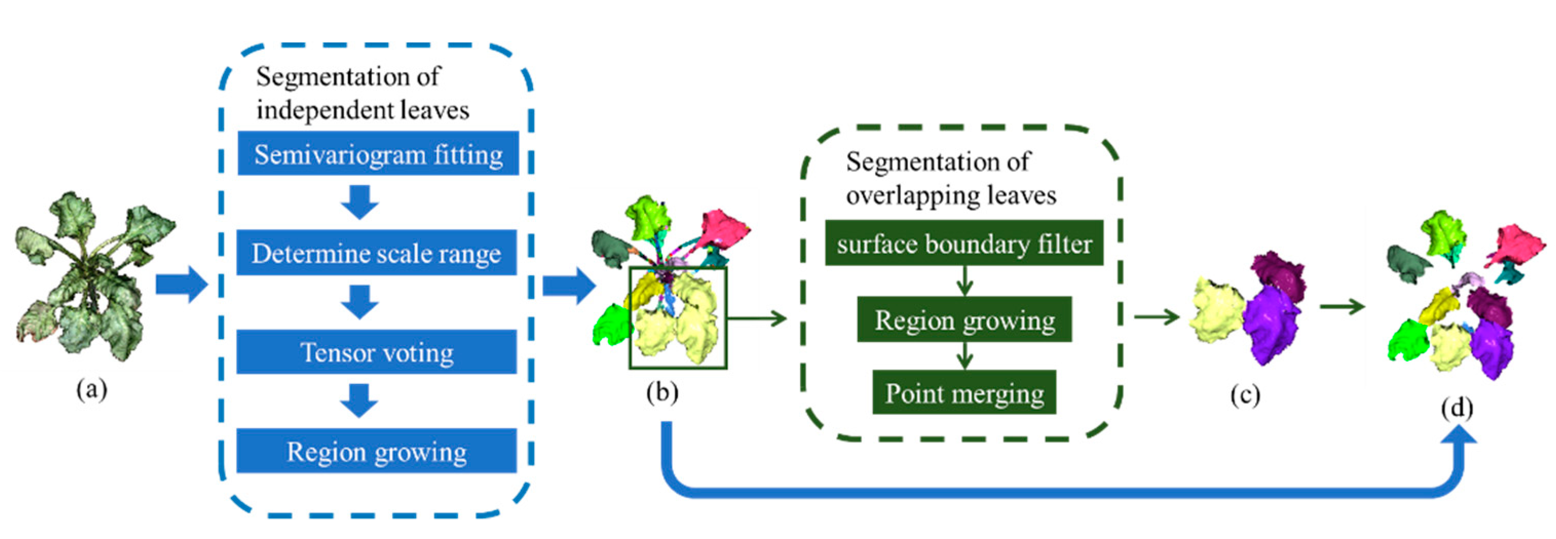 Agronomy 12 00893 g002