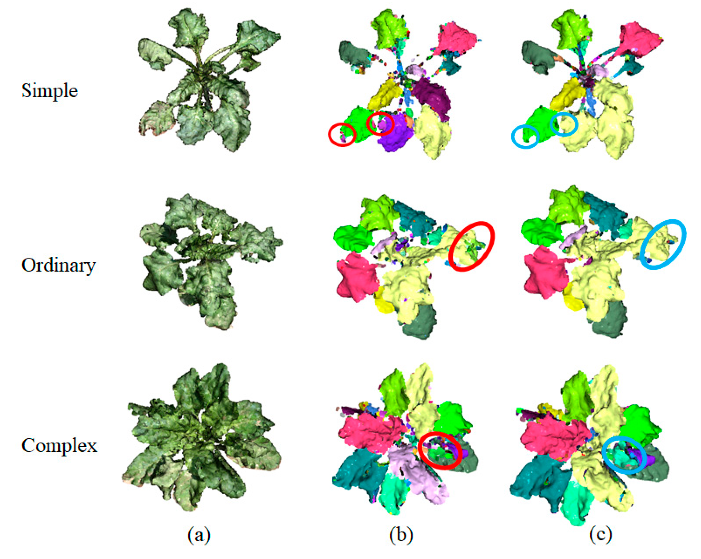 Agronomy 12 00893 g005