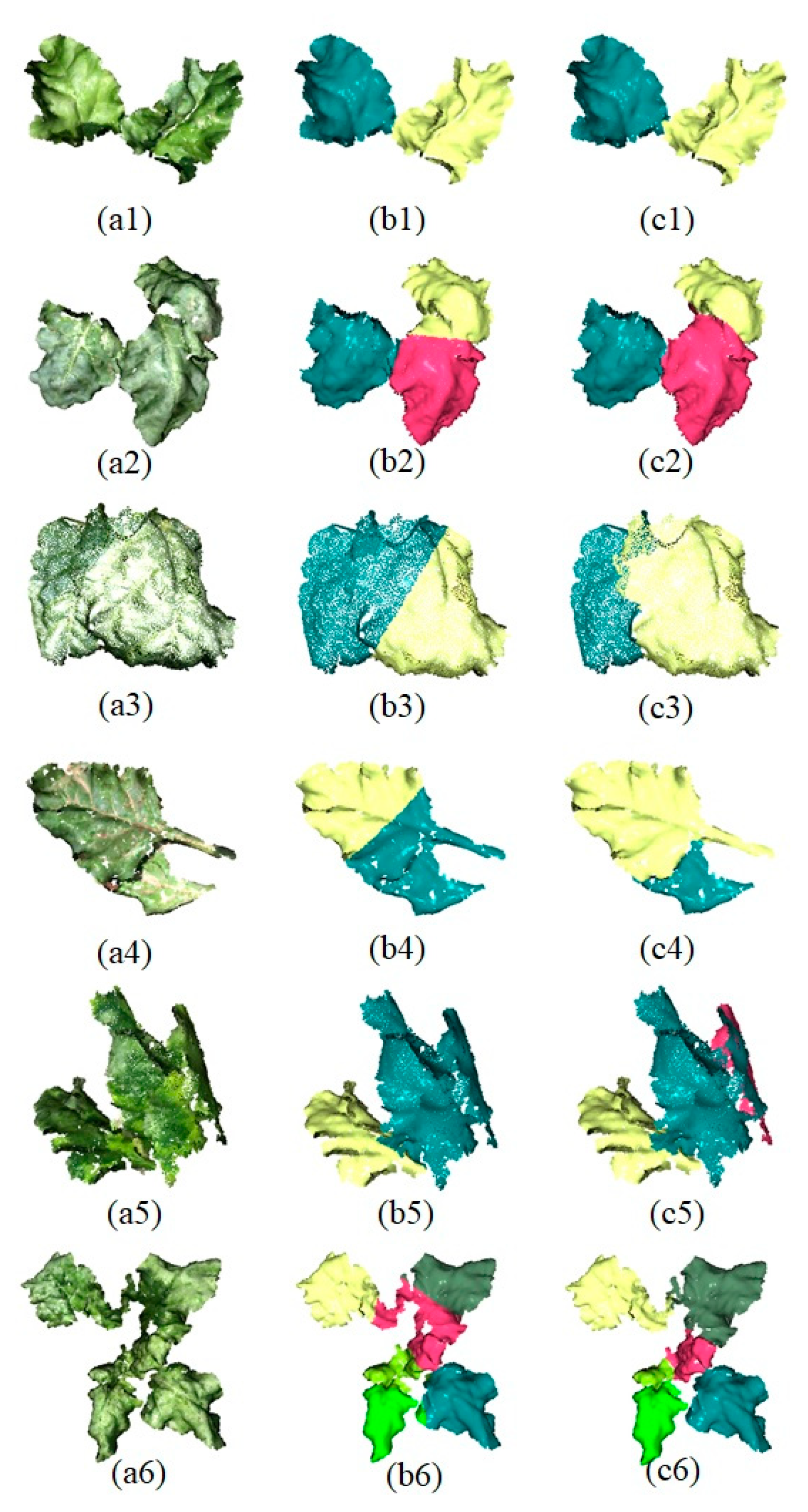 Agronomy 12 00893 g007