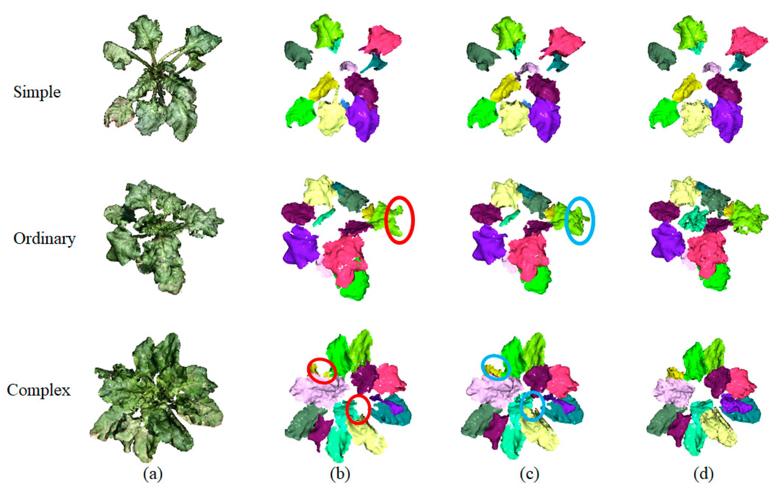 Agronomy 12 00893 g009
