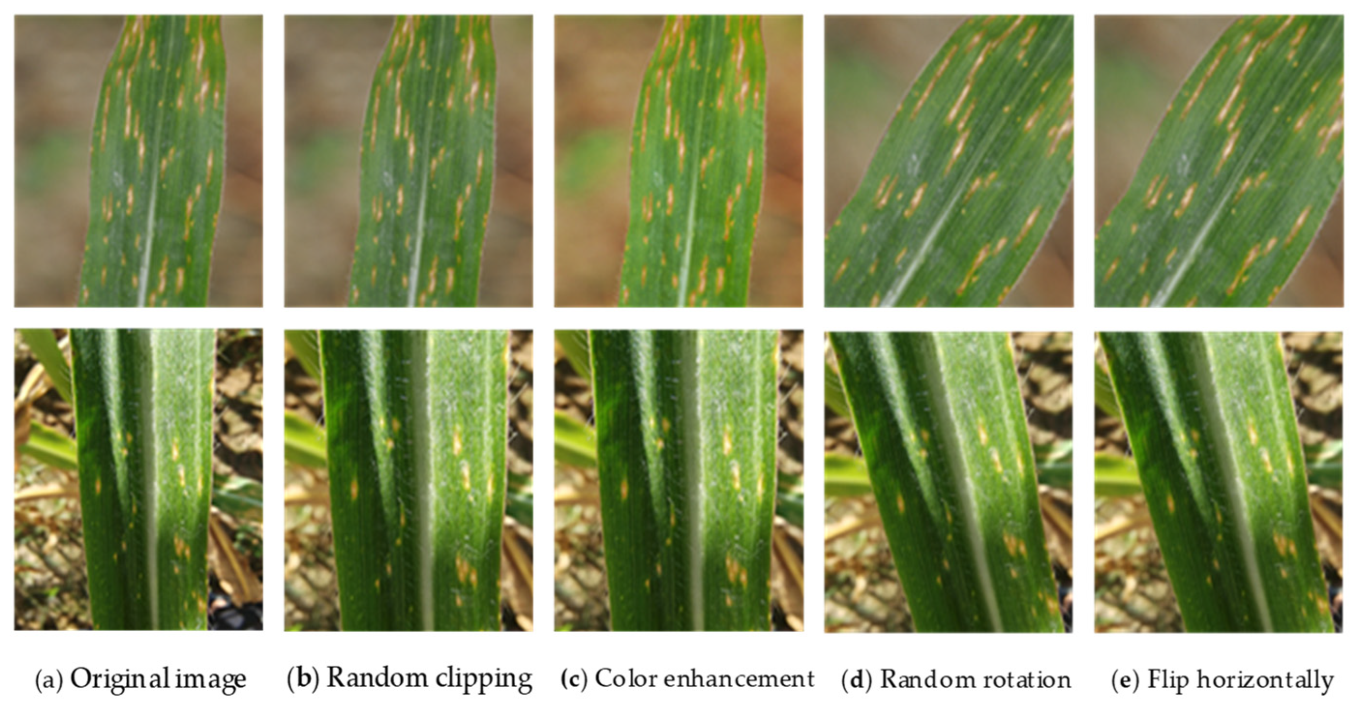 Agronomy 12 00906 g003