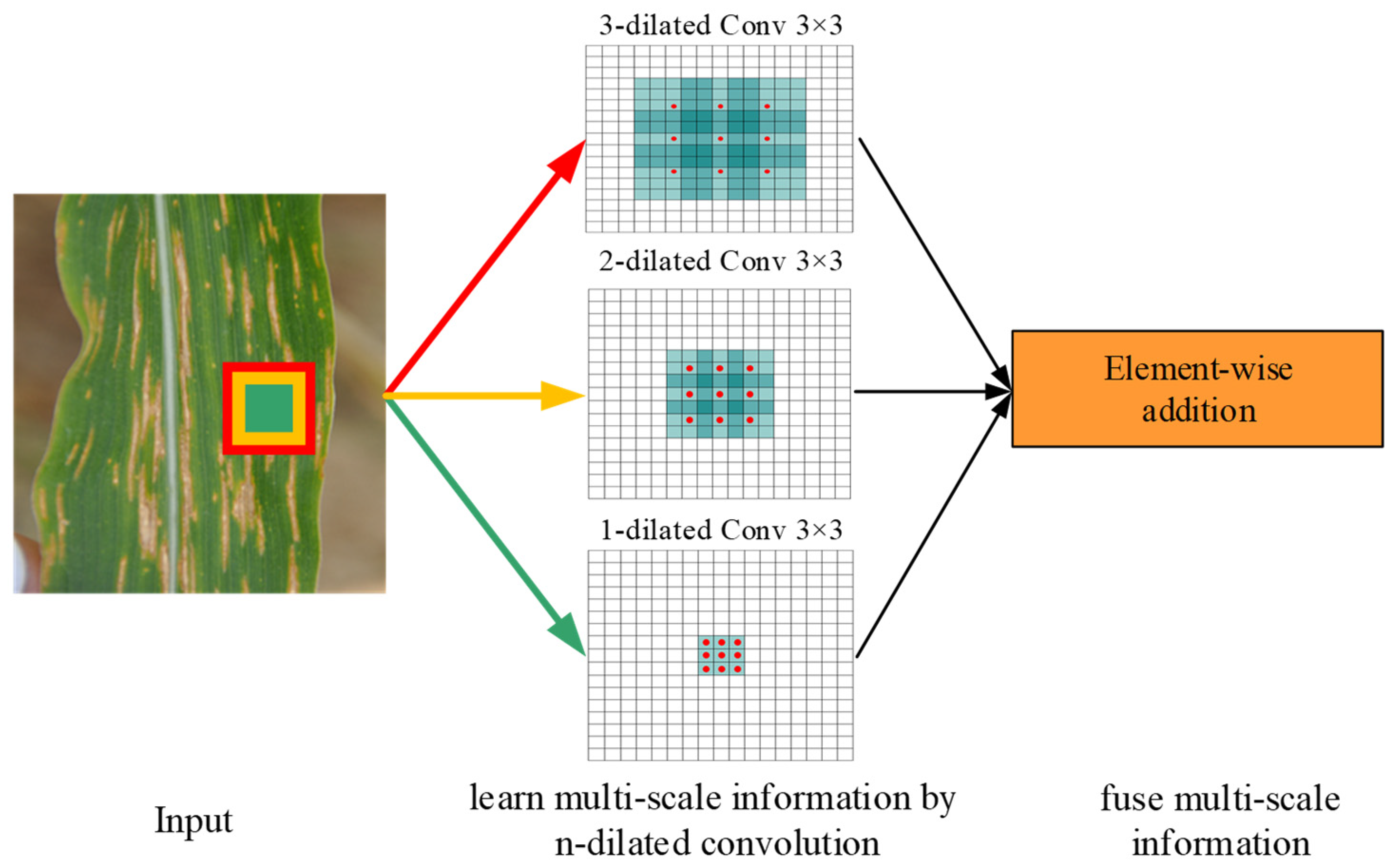 Agronomy 12 00906 g005