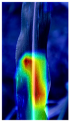 Agronomy 12 00906 i002