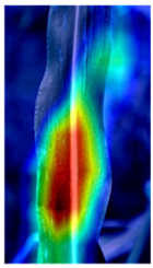 Agronomy 12 00906 i004