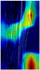 Agronomy 12 00906 i013