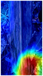 Agronomy 12 00906 i019