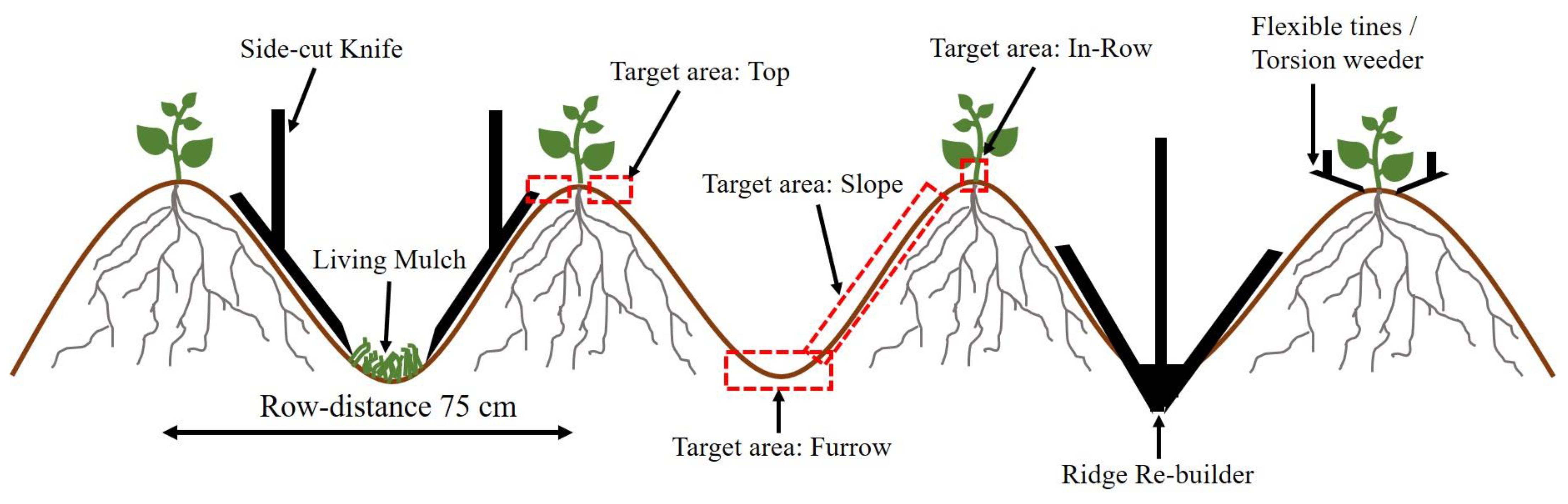 Agronomy 12 00910 g003