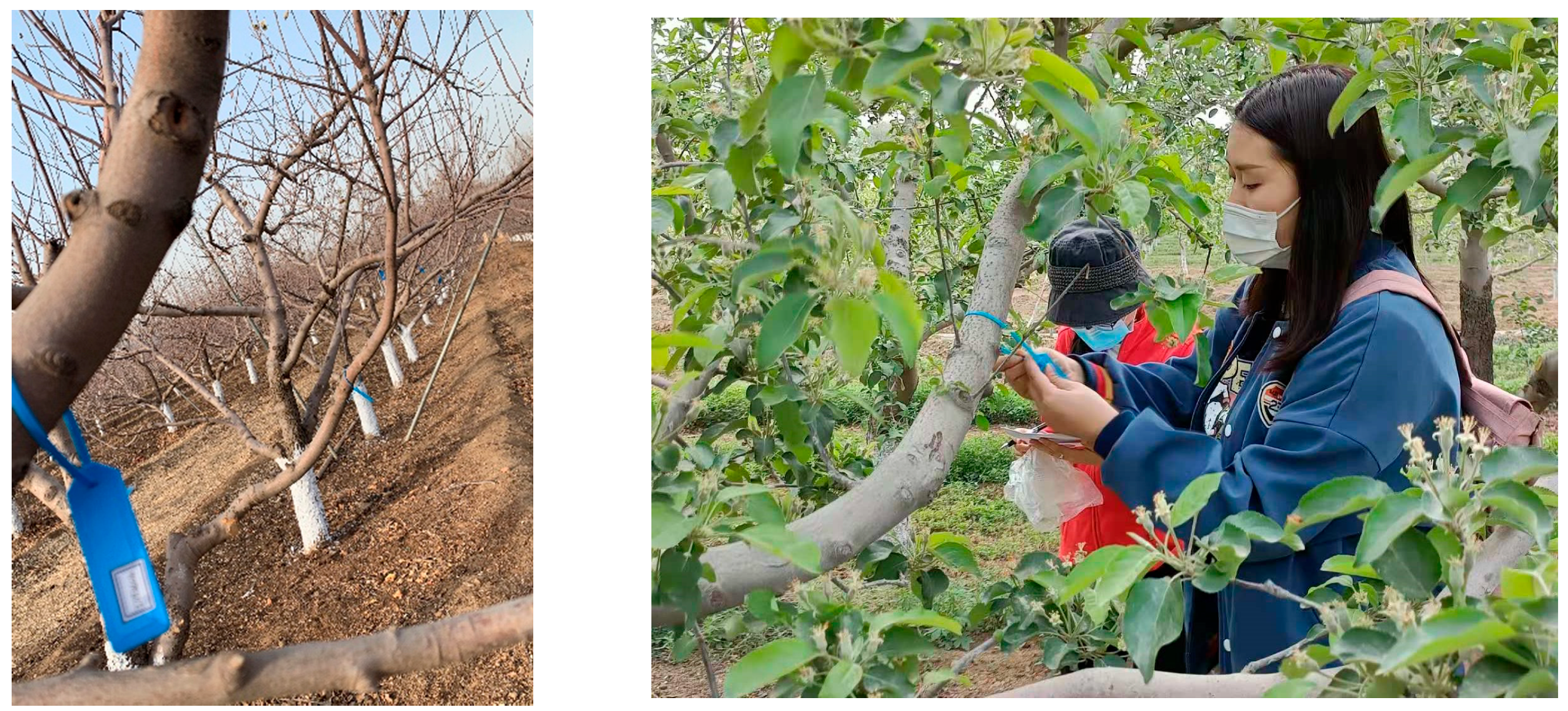 Agronomy 12 00921 g009