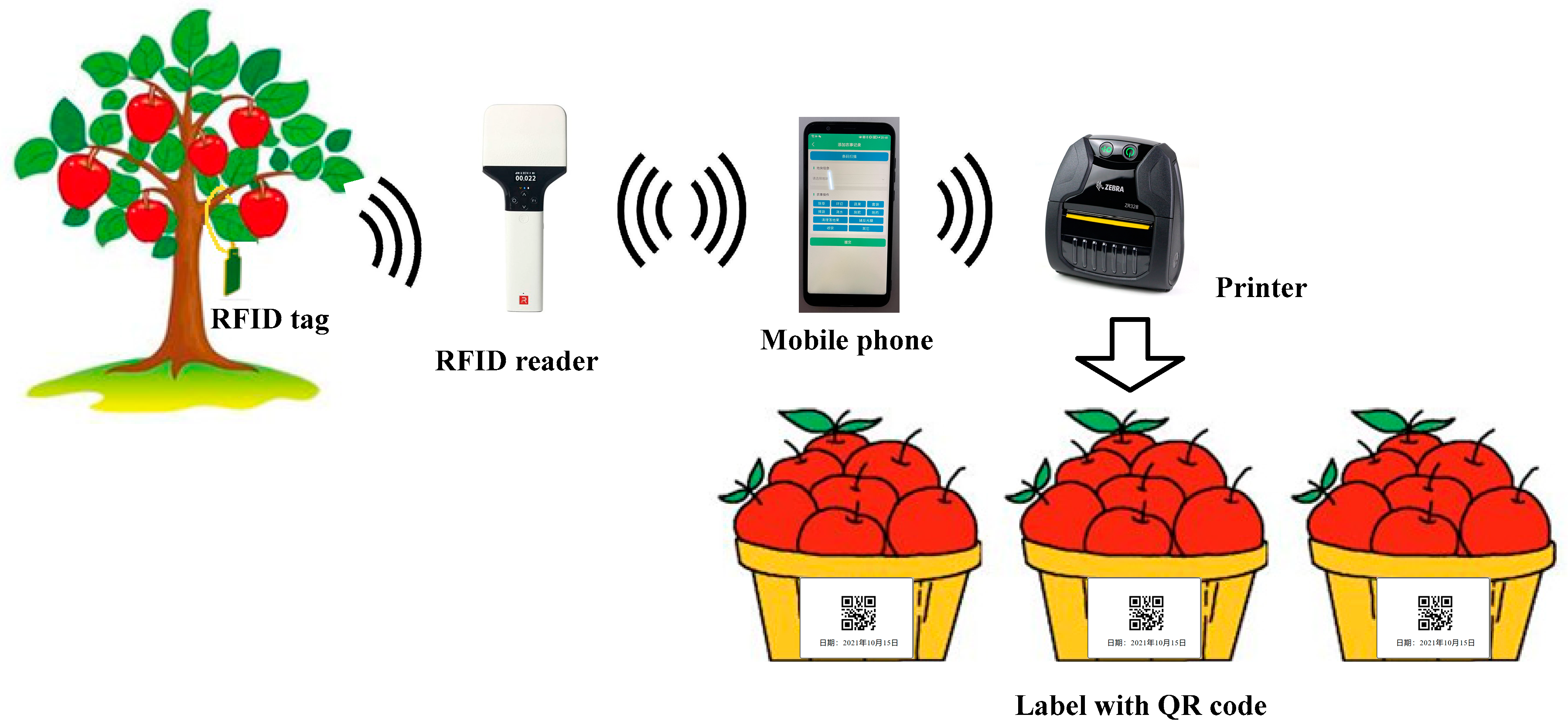 Agronomy 12 00921 g011