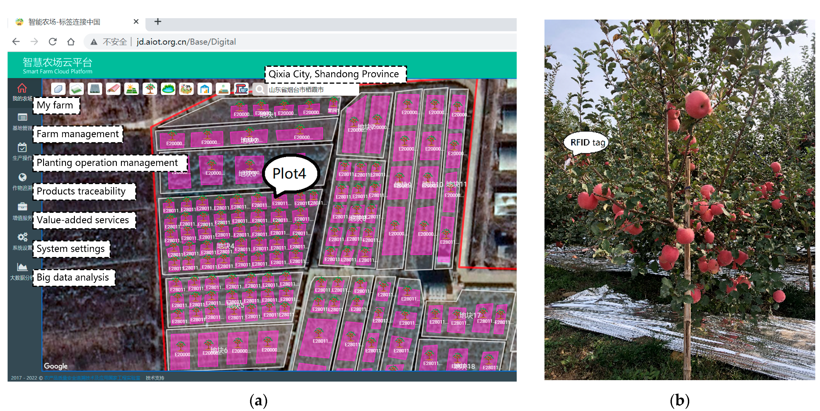 Agronomy 12 00921 g012