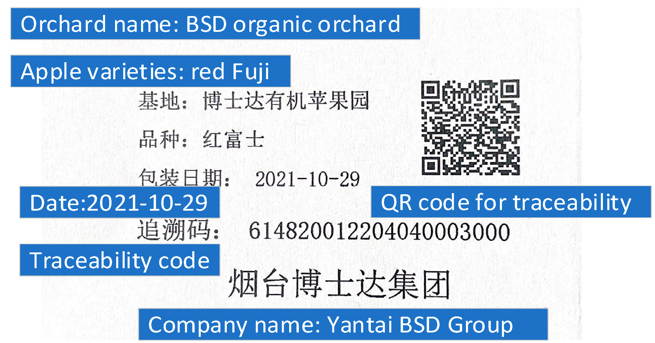 Agronomy 12 00921 g013