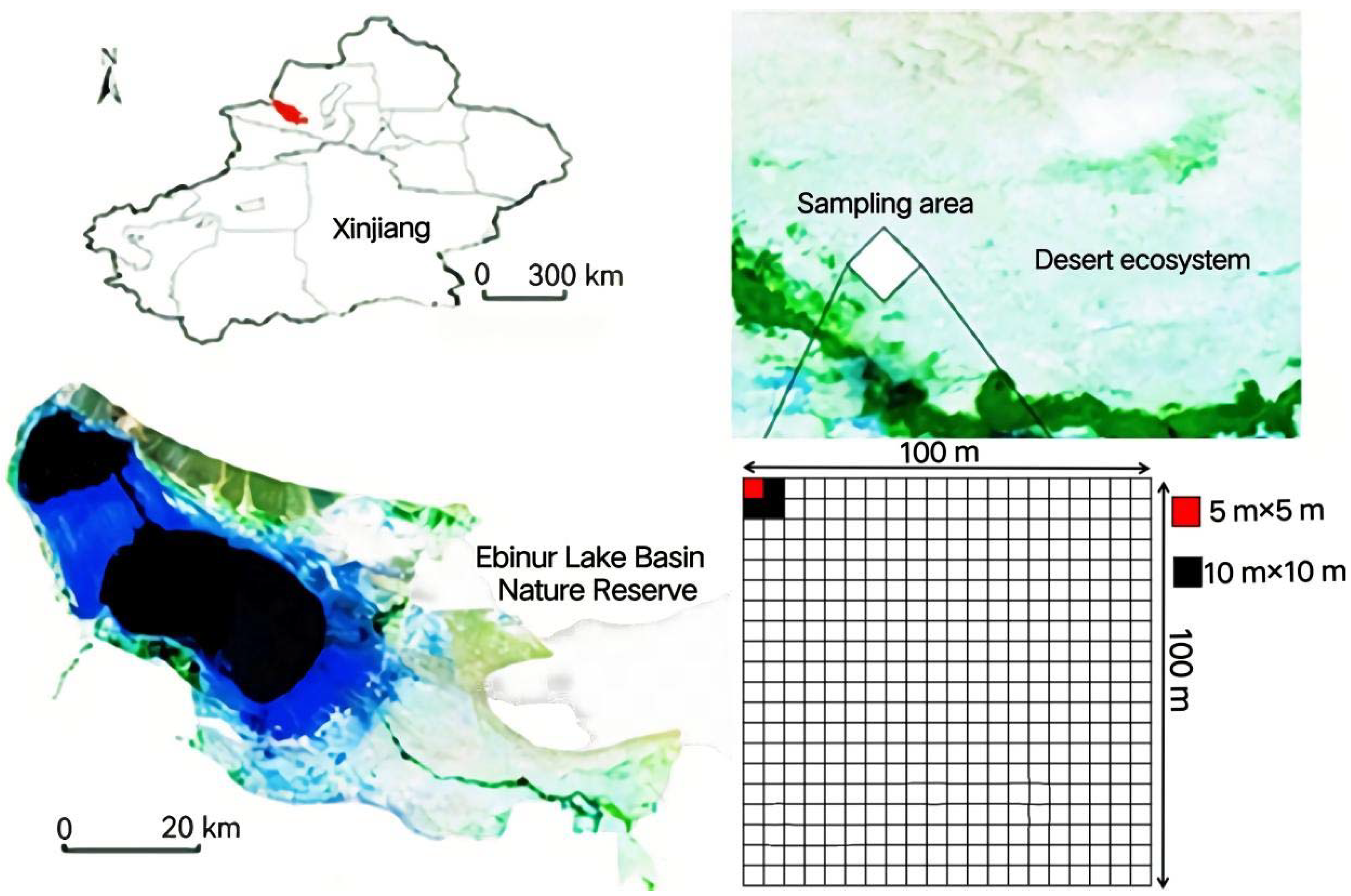 Agronomy 12 00966 g001