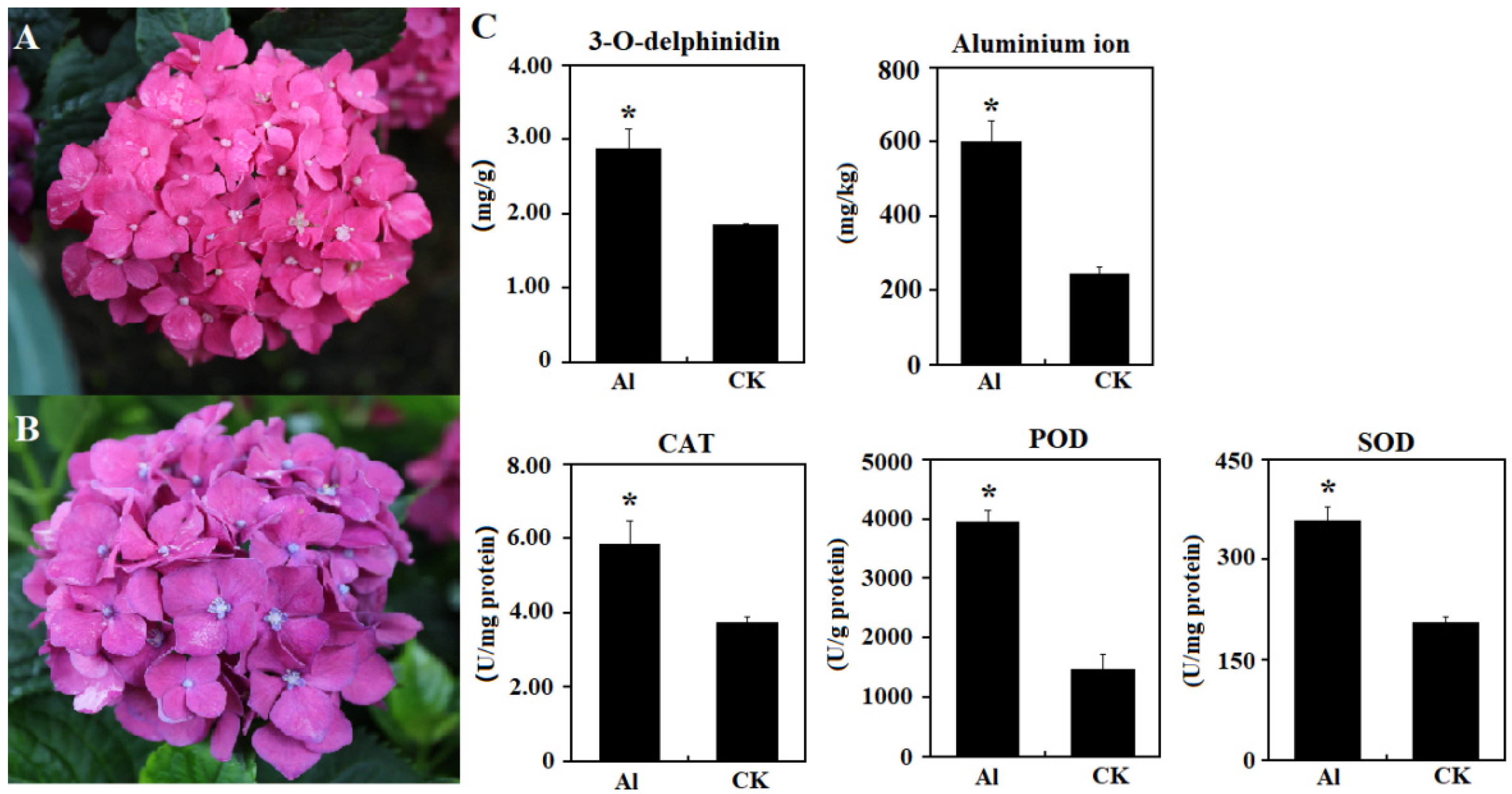 Agronomy 12 00969 g001